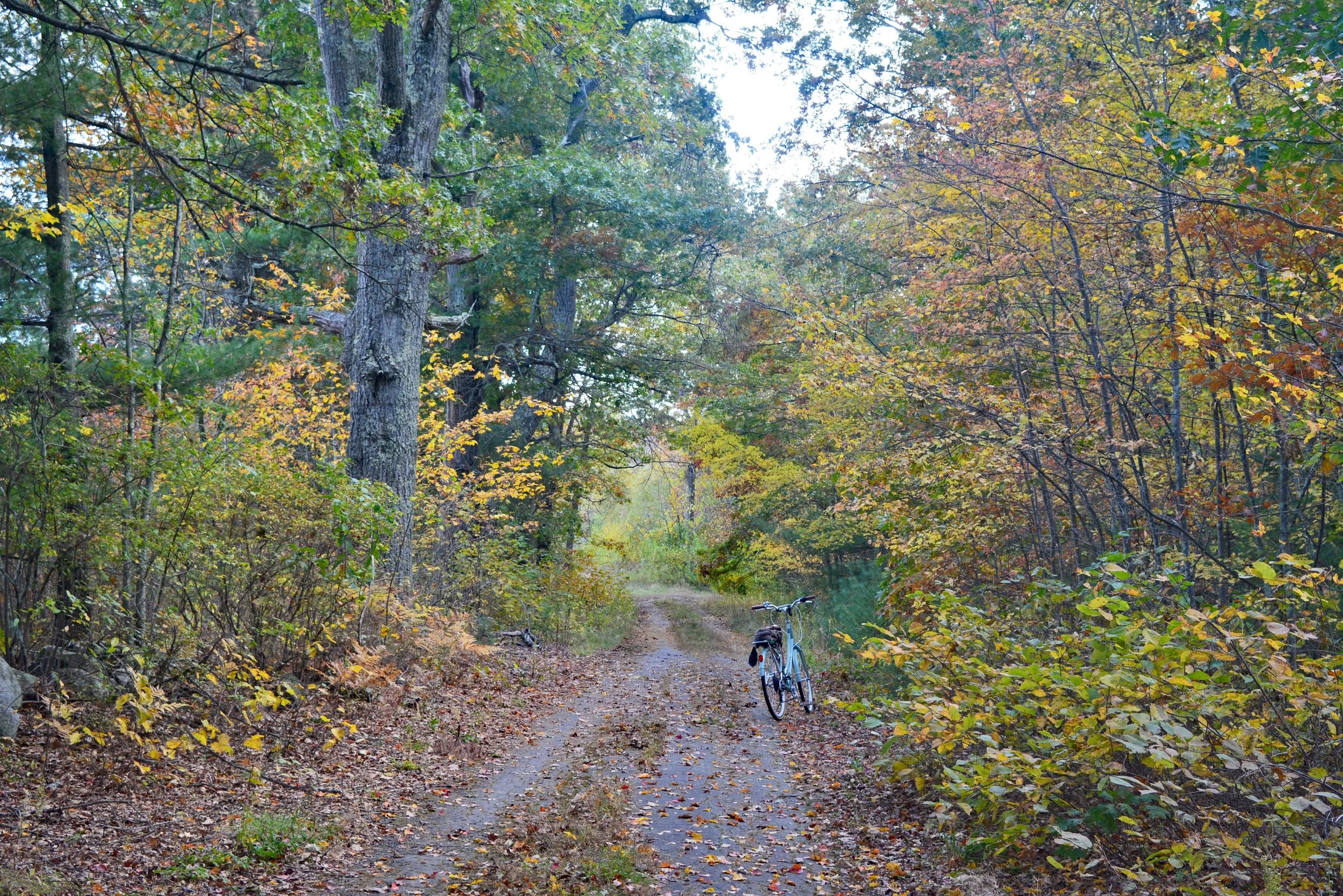 Harry's Way, Assabet Wildlife Refuge