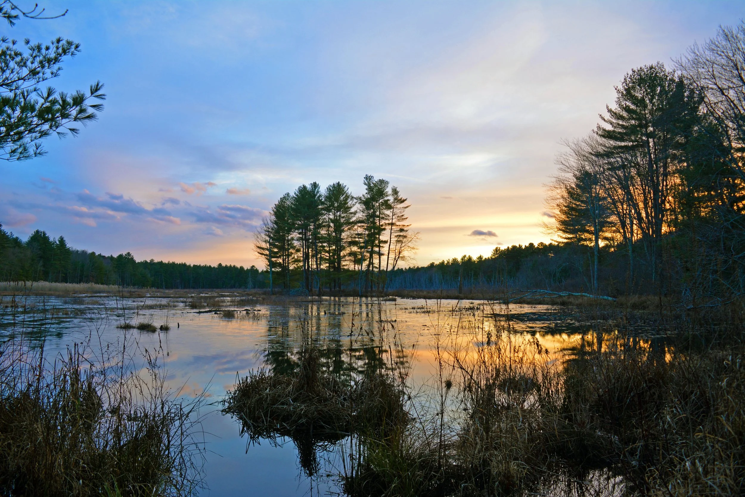 Harry's Way, Assabet Wildlife Refuge