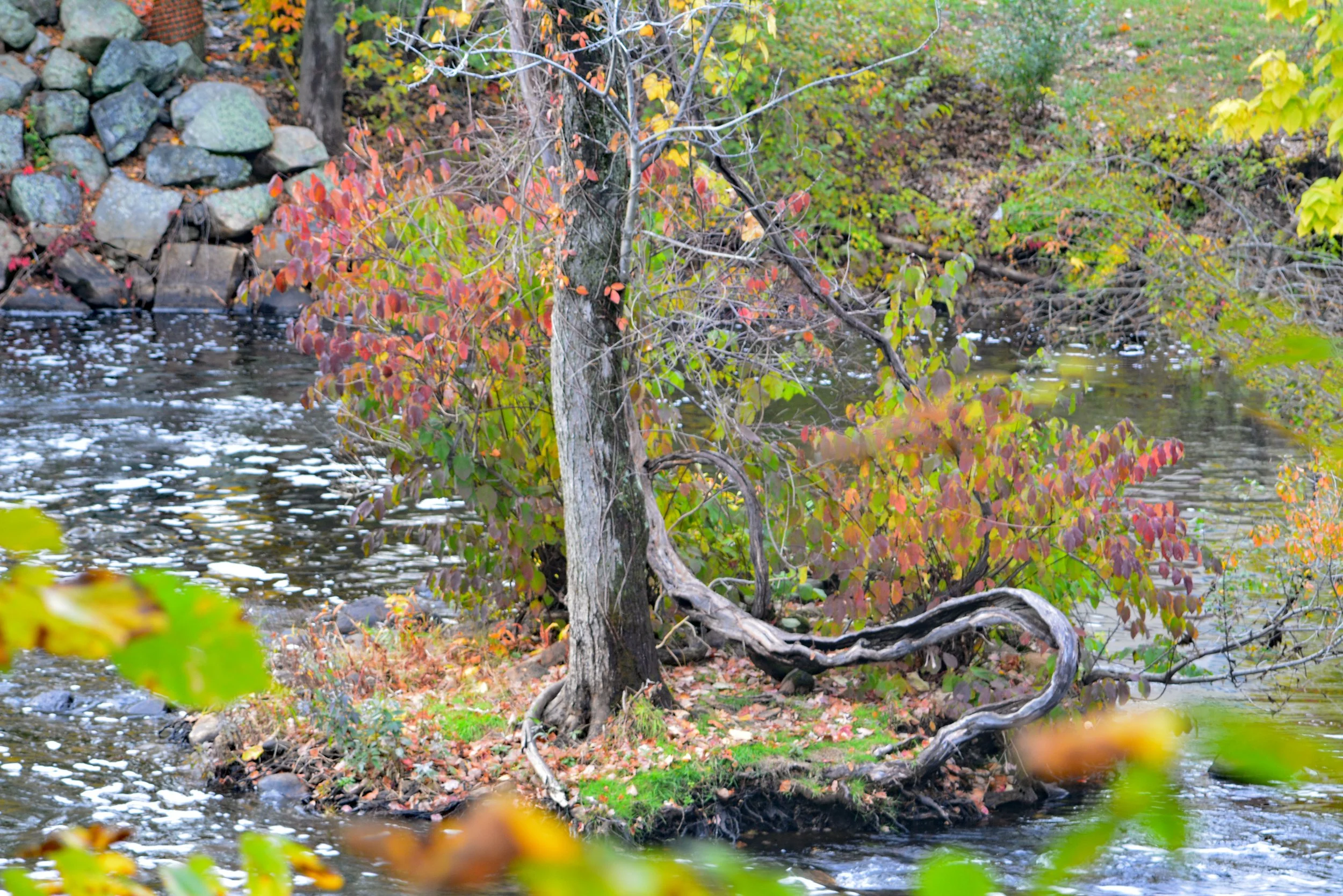 Powder Mill Road