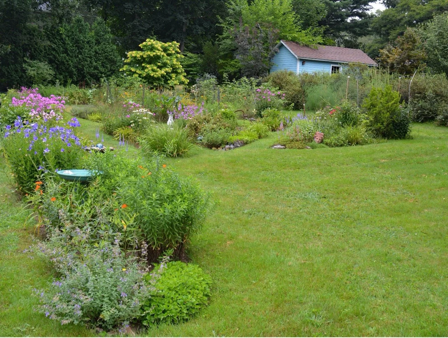 Maynard Biodiversity Talks: Carolyn Stock