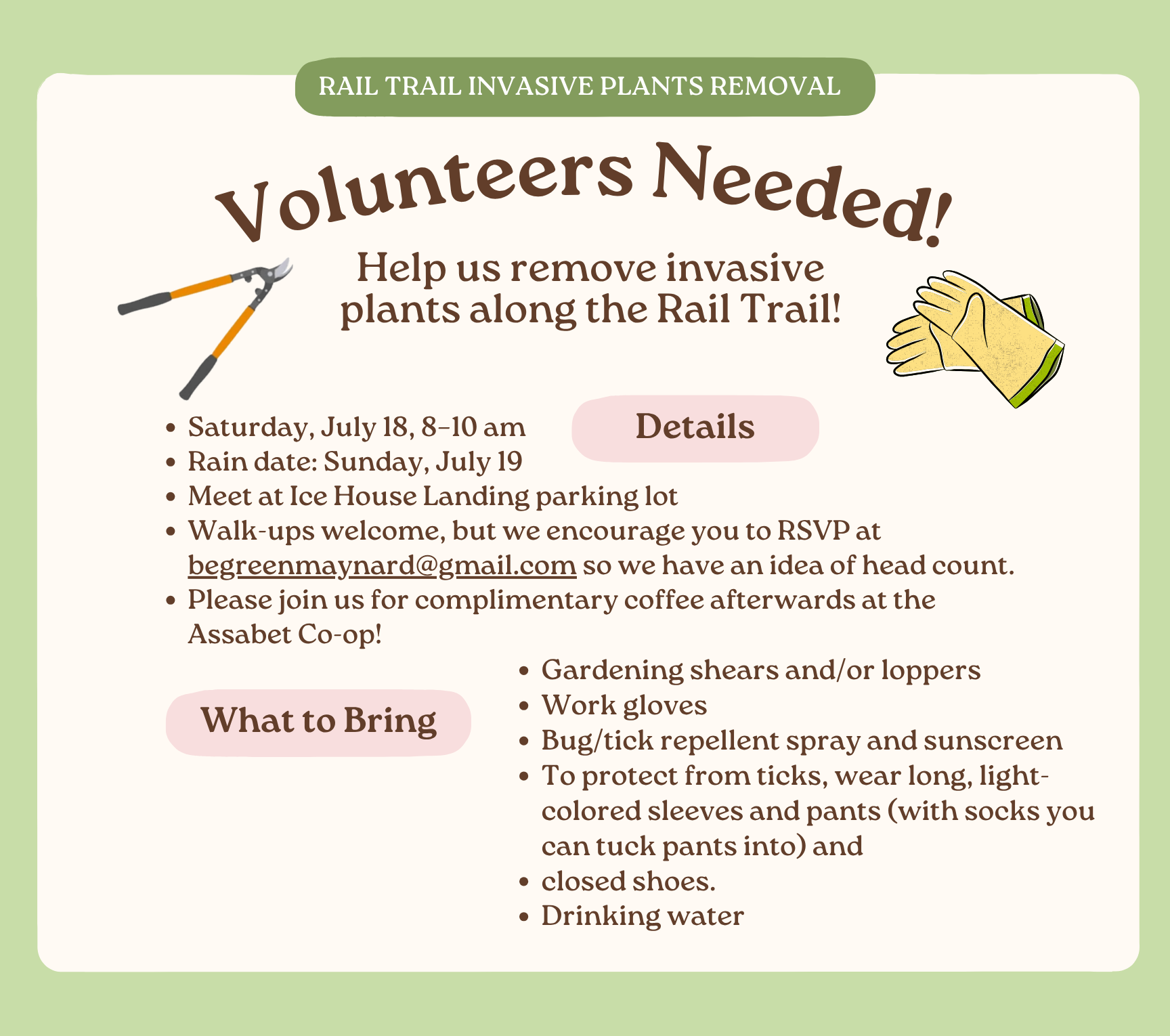 Invasive Plant Removal at Assabet Rail Trail in Maynard