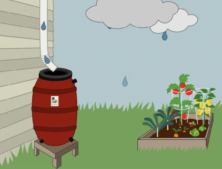 DIY Rain Barrel