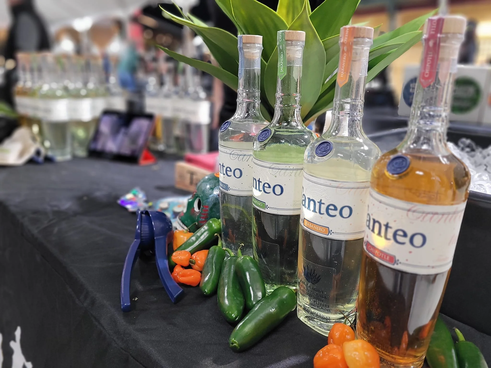 Display of three bottles of tequila, with a green plant and colorful peppers on a black table at an event.