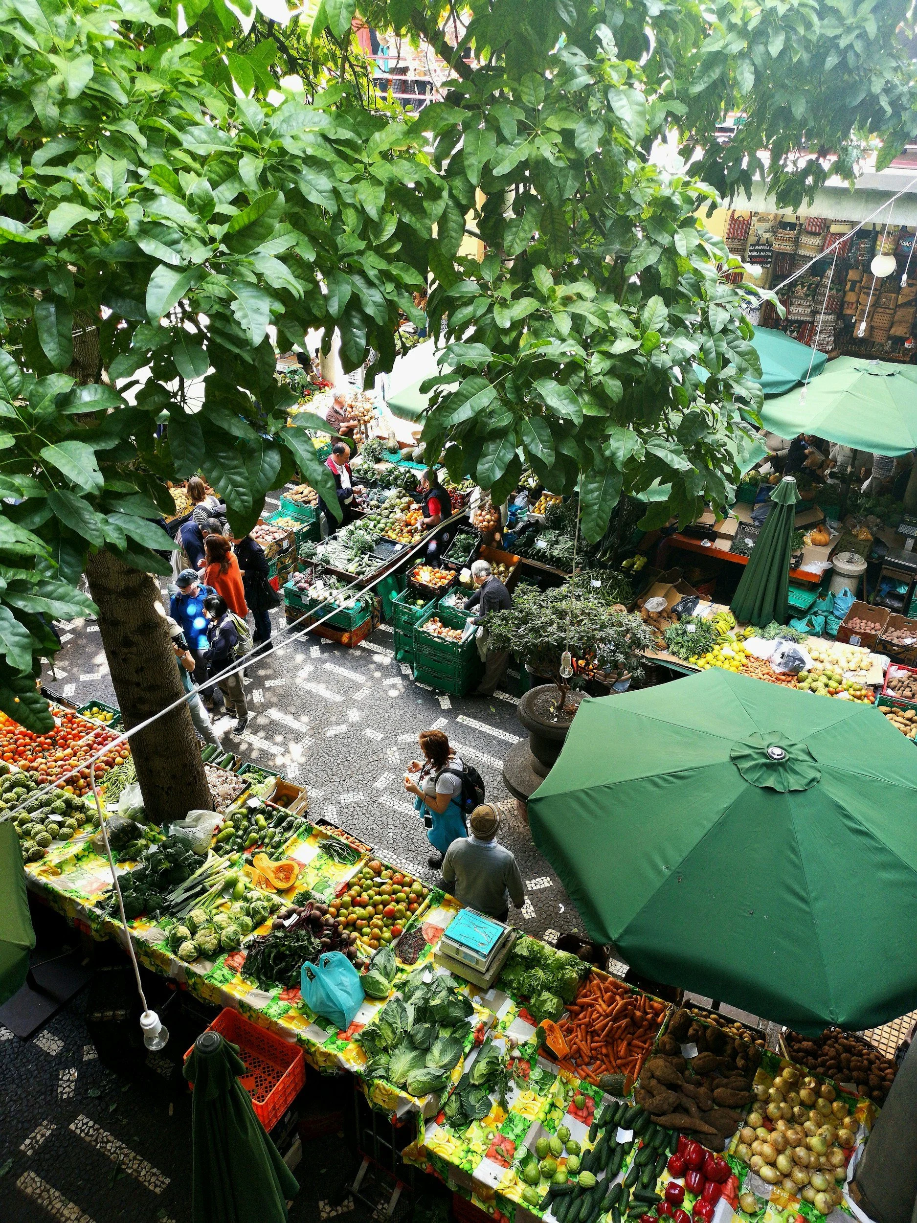 Outdoor market with fresh produce, people shopping, and large green umbrellas providing shade.