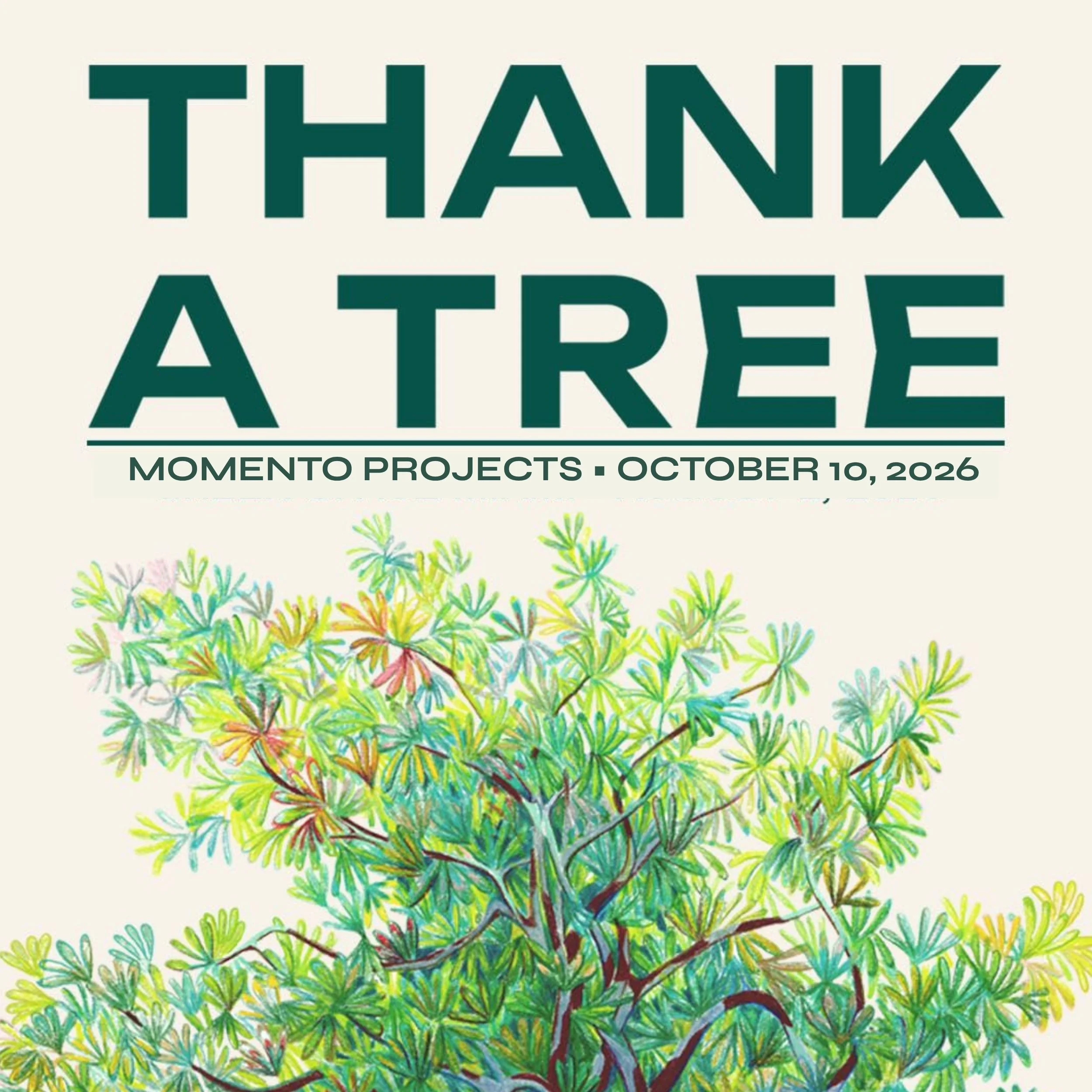 THANK A TREE: The Canopy Continues