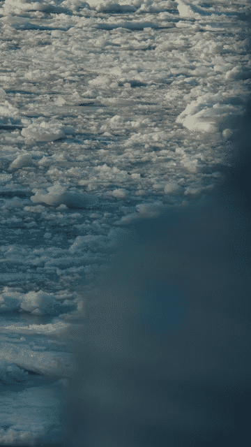 30 SECOND_DIRECTORS CUT-low (3).gif