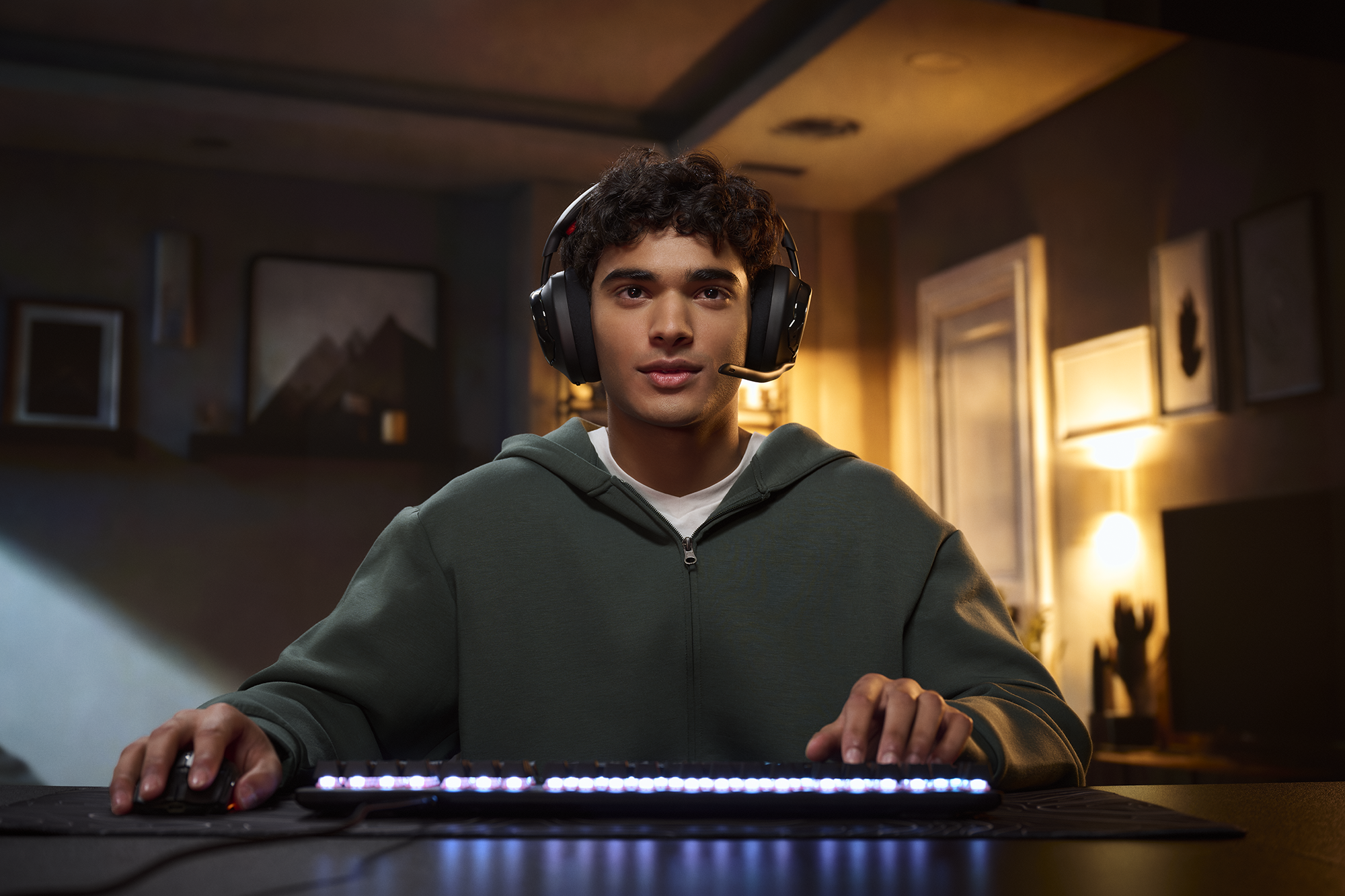 JBL_Quantum_Quantum650X_0245.webp