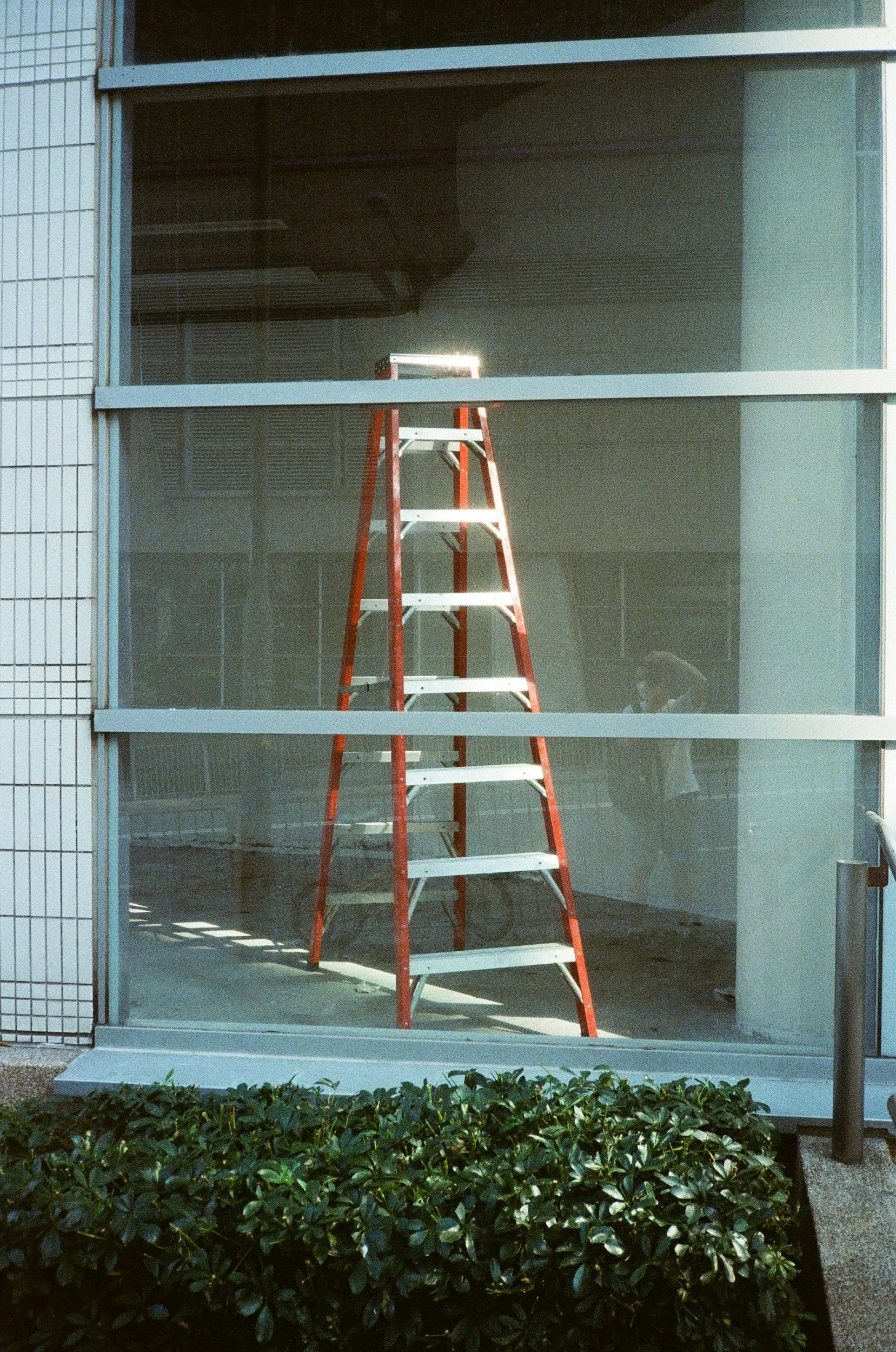 Red and white ladder inside a building, viewed through a large glass window with some exterior foliage at the bottom.