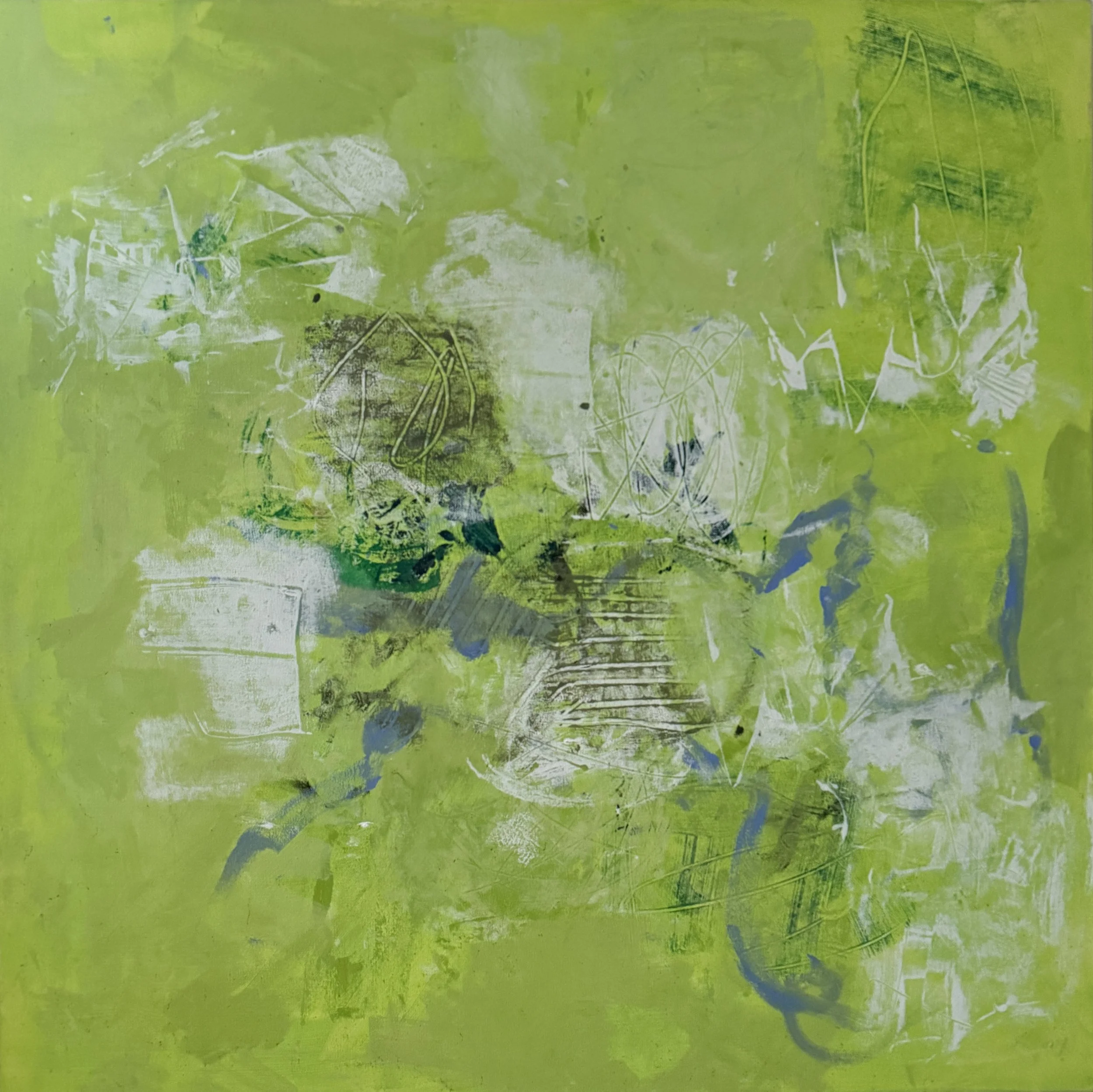 "Lime on My Mind," 36"x36", Acrylic, $2,750