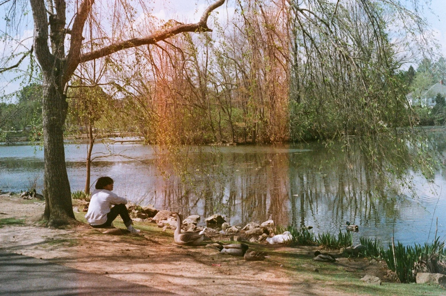 0022_9000080360022.jpg