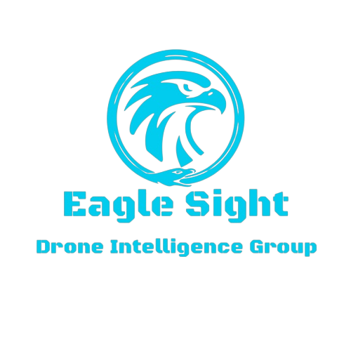 Logo for Eagle Sight Drone Intelligence Group featuring a blue eagle head inside a circle on a black background.