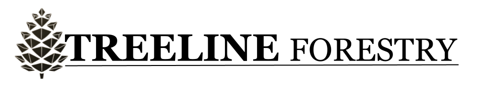 TREELINE FORESTRY