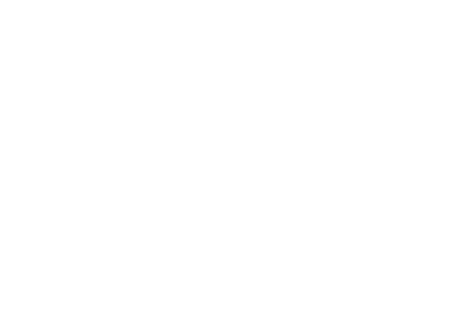 SLINGERS