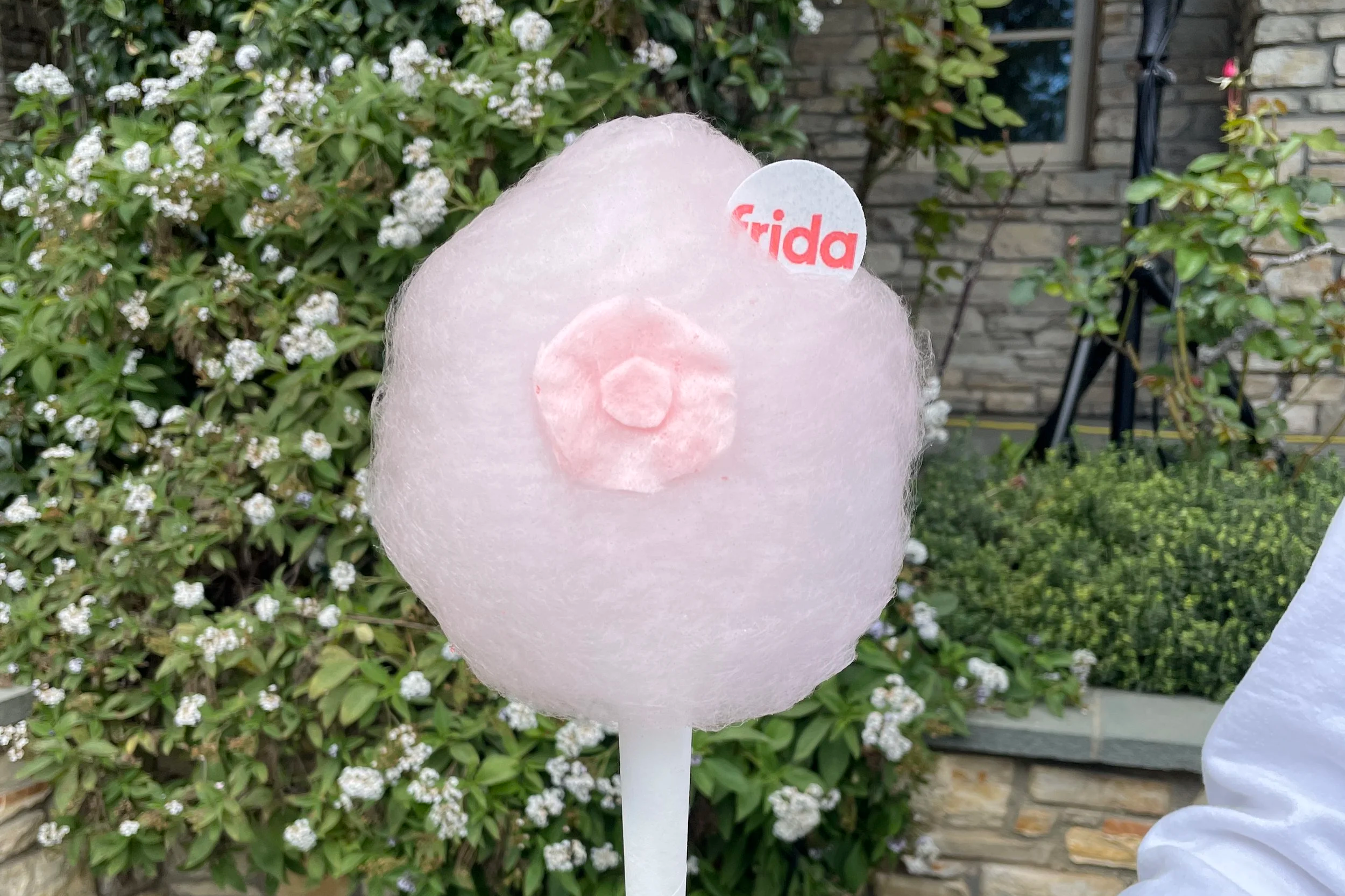 Design, Vendor Sourcing