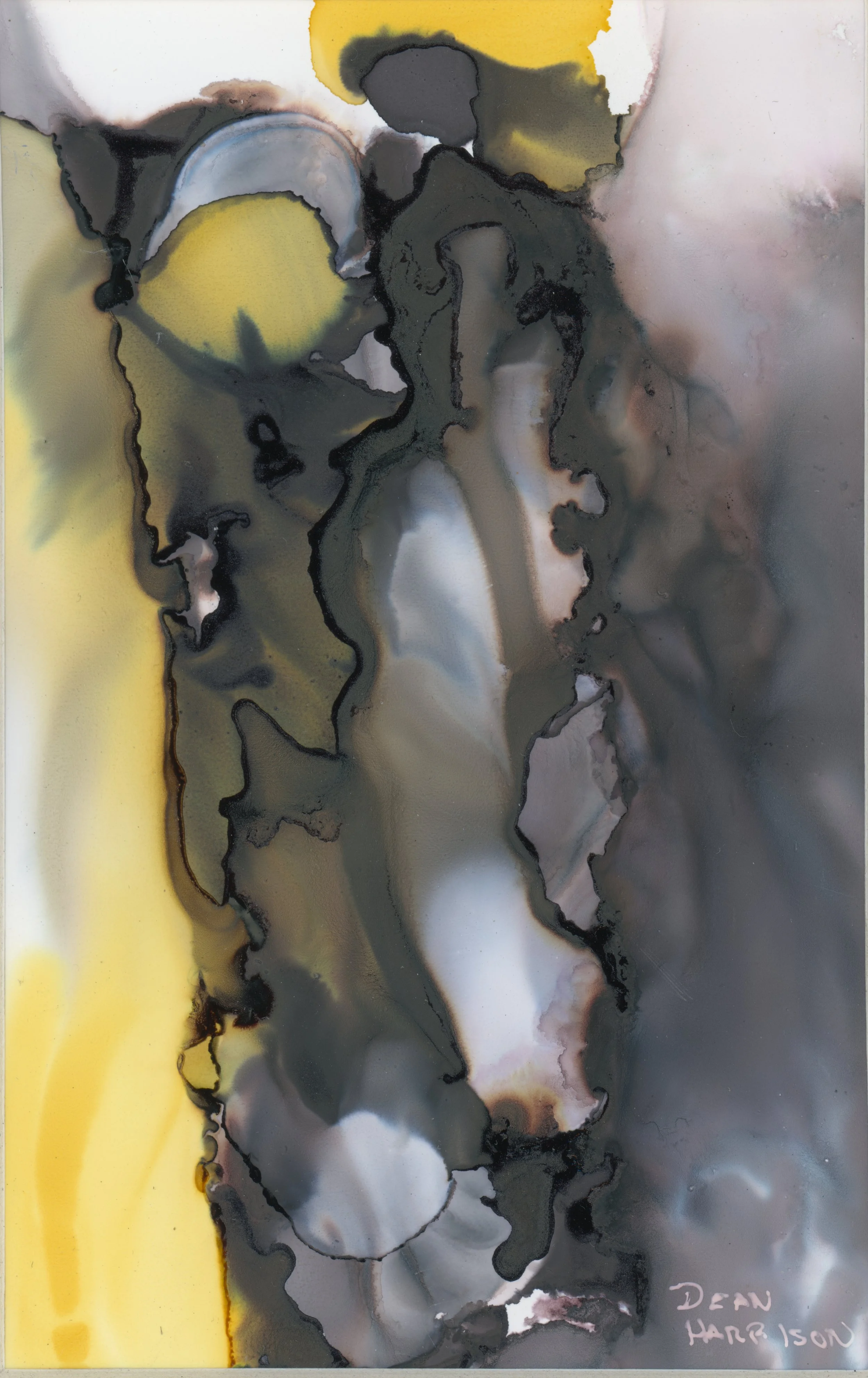 Abstract alcohol ink painting with shades of black, gray, white, yellow, and hints of pink, brown, and blue. The artist's signature, 'Dean Harrison,' is in the bottom right corner.