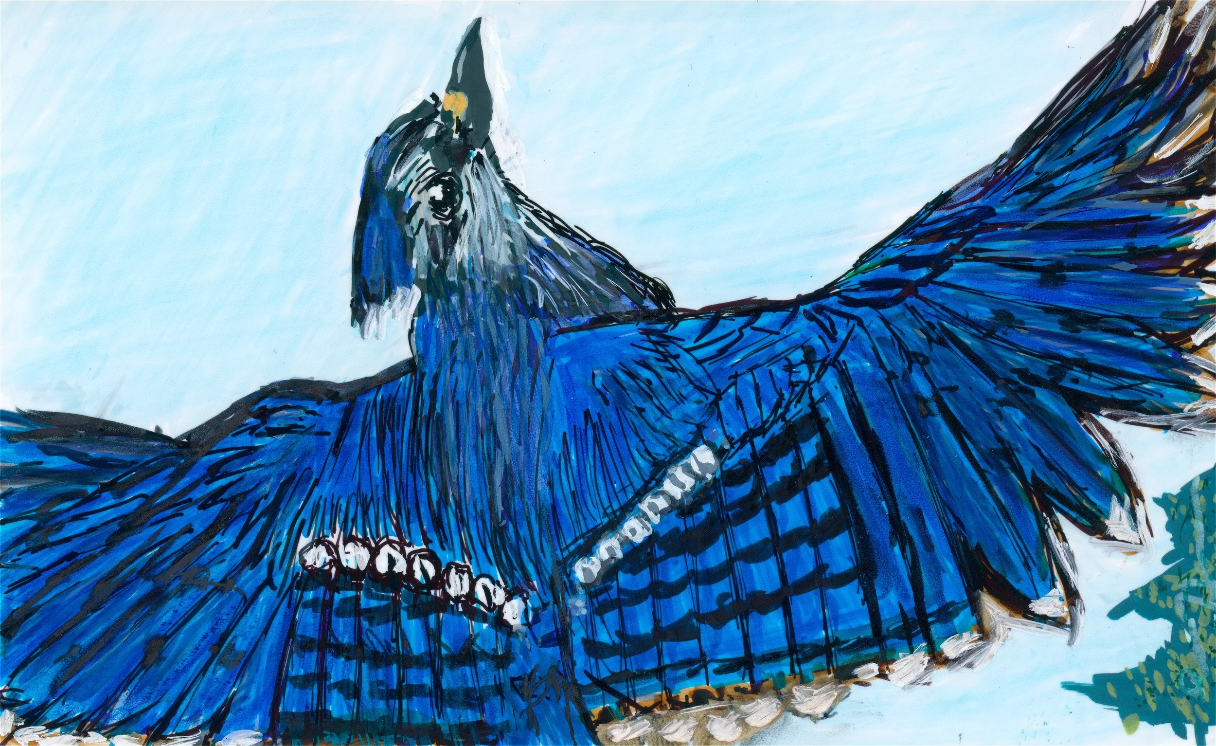 bluejaycolorJPG.jpg