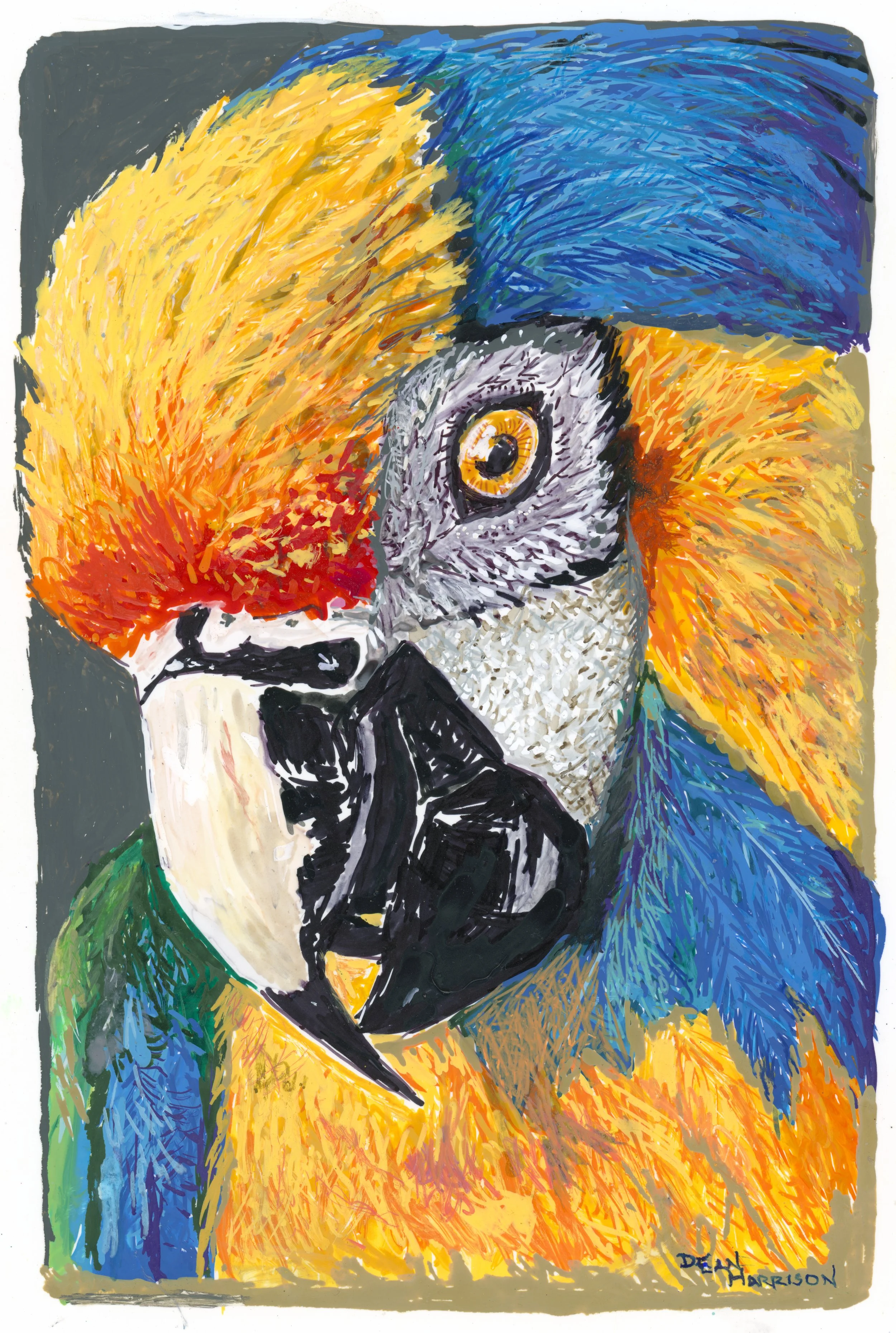 Colorful painting of a parrot, primarily blue, yellow, orange, and green feathers, with a black and white beak and detailed eye.