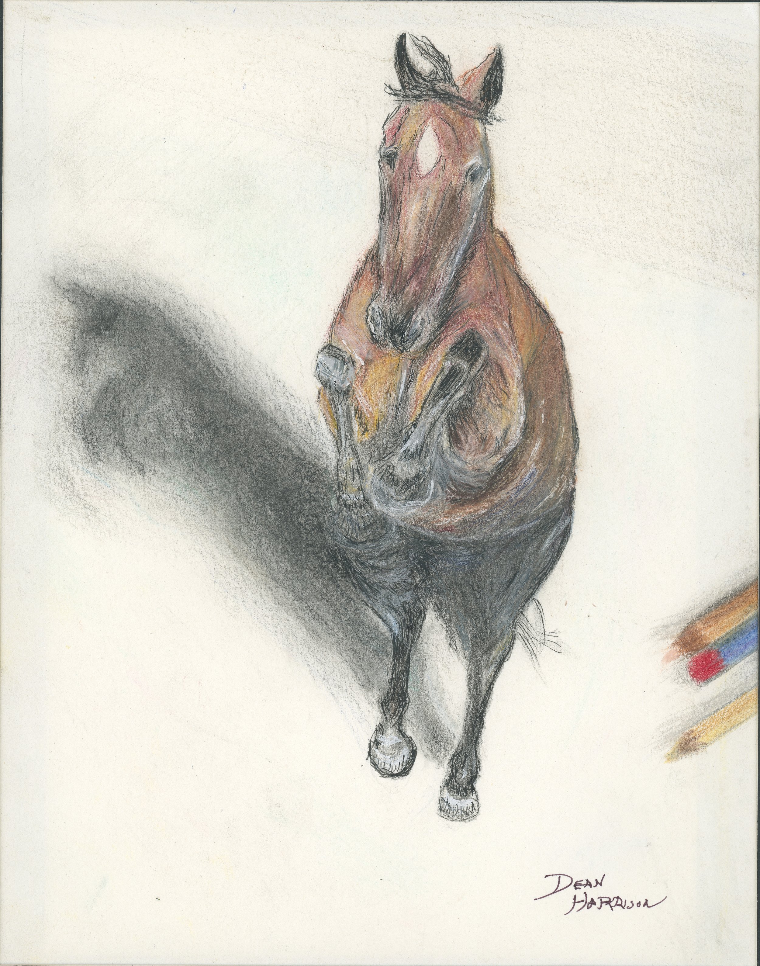 Horse Sketch 25 jpg.jpg