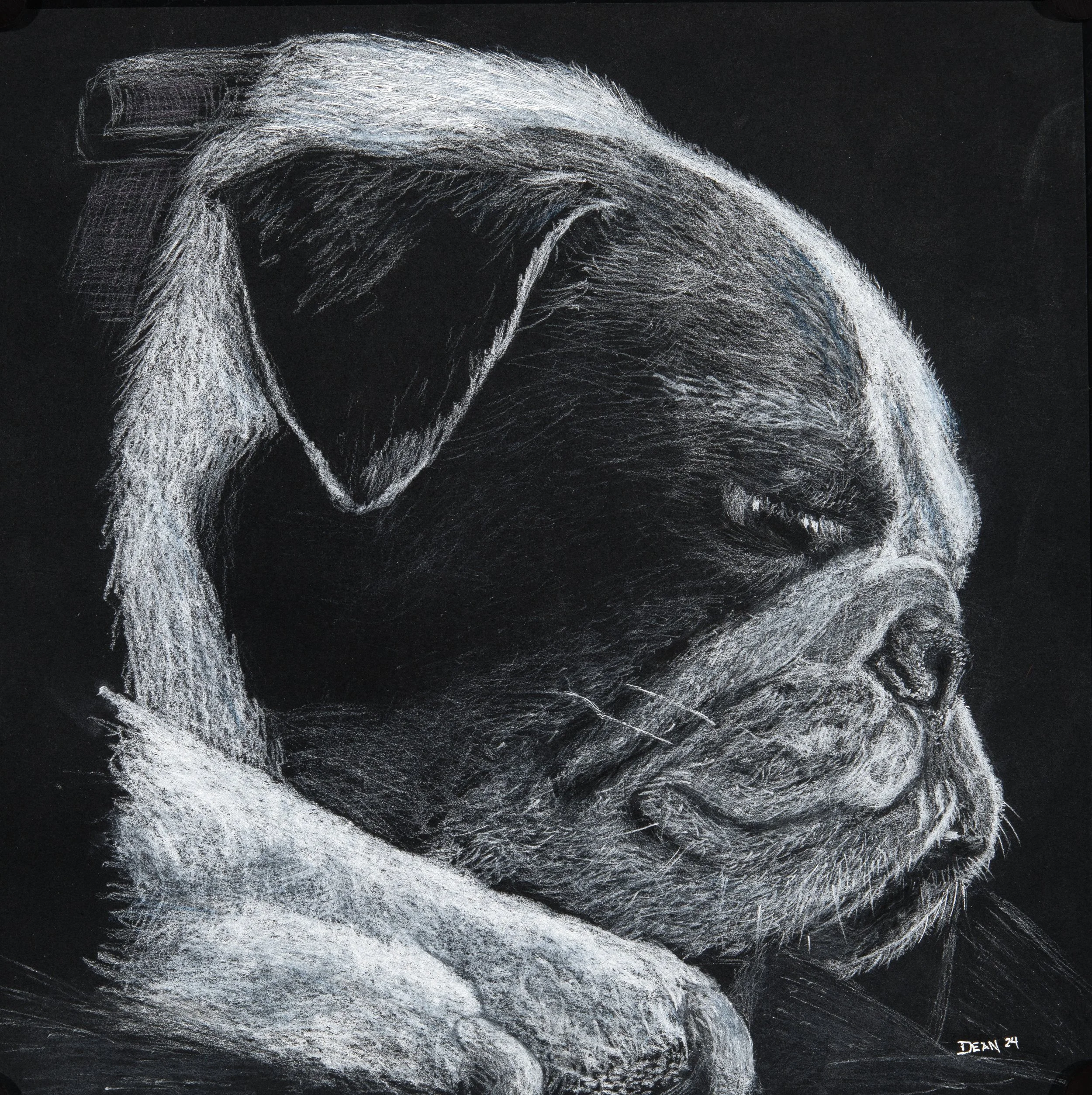 A black and white chalk drawing of a sleeping puppy resting its head on a paw.