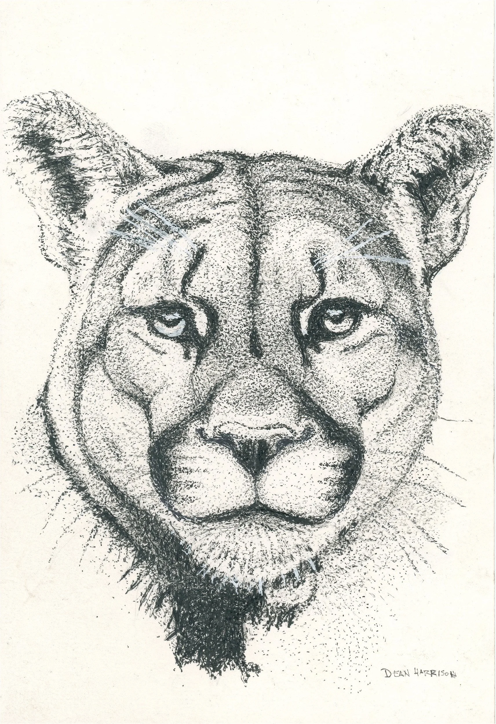 Female Lion Stipple- 25JPG.jpg