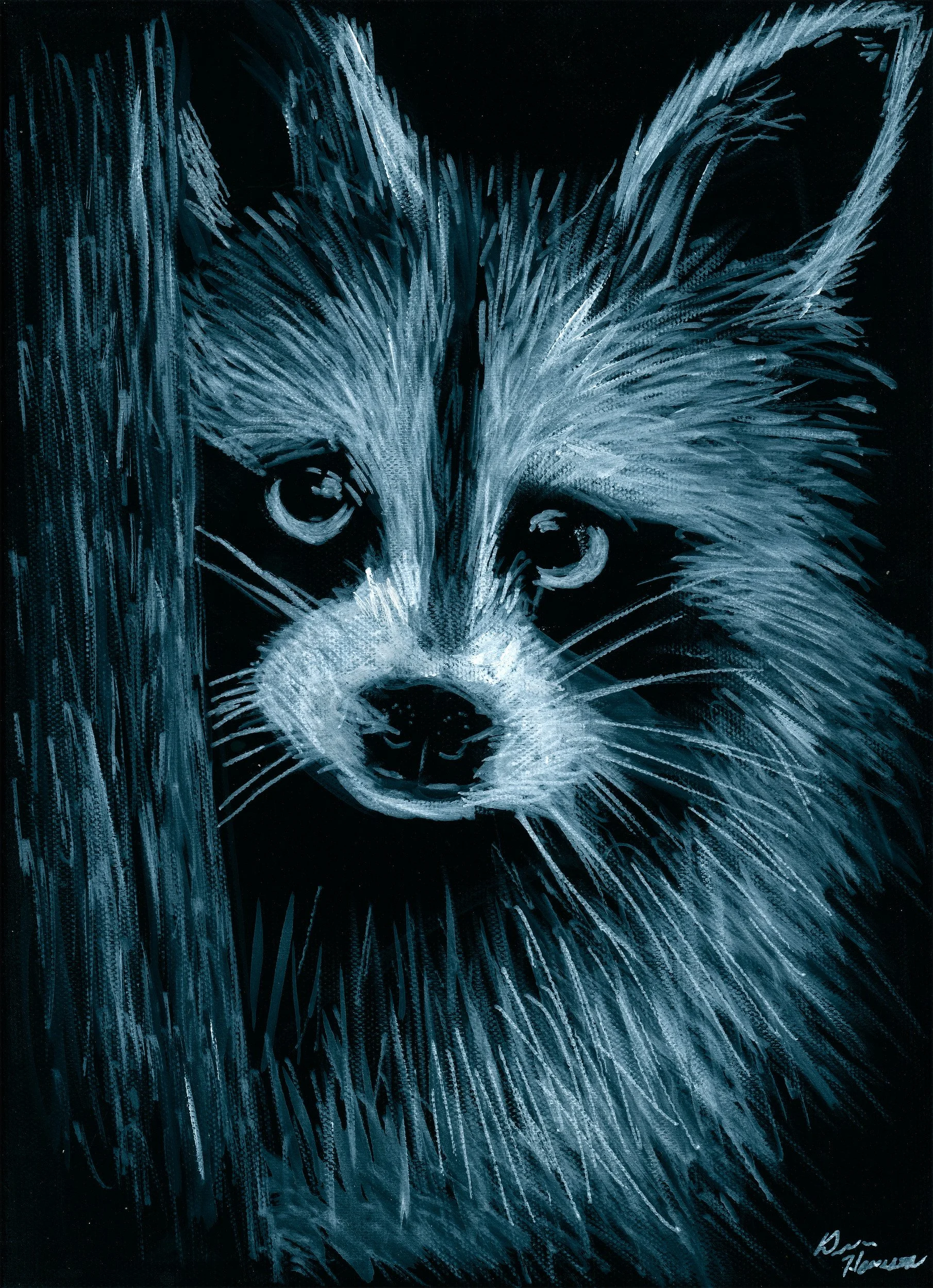 peekingraccoonbwJPG.jpg