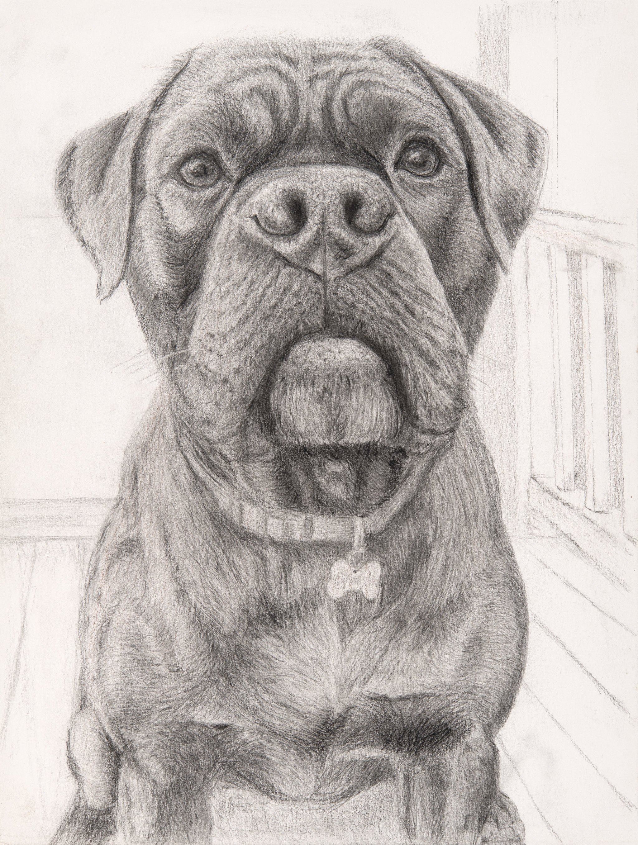 Detailed pencil sketch of a large dog, possibly a Mastiff, sitting indoors near a wooden railing.