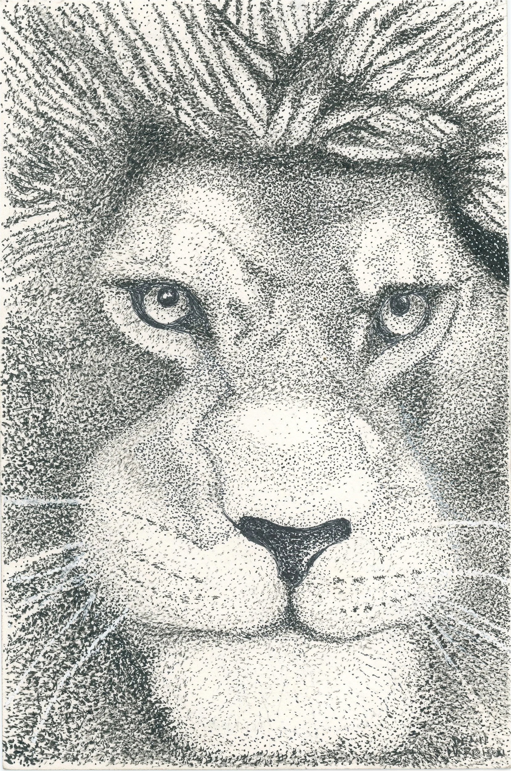Male Lion Stipple- 25JPG.jpg