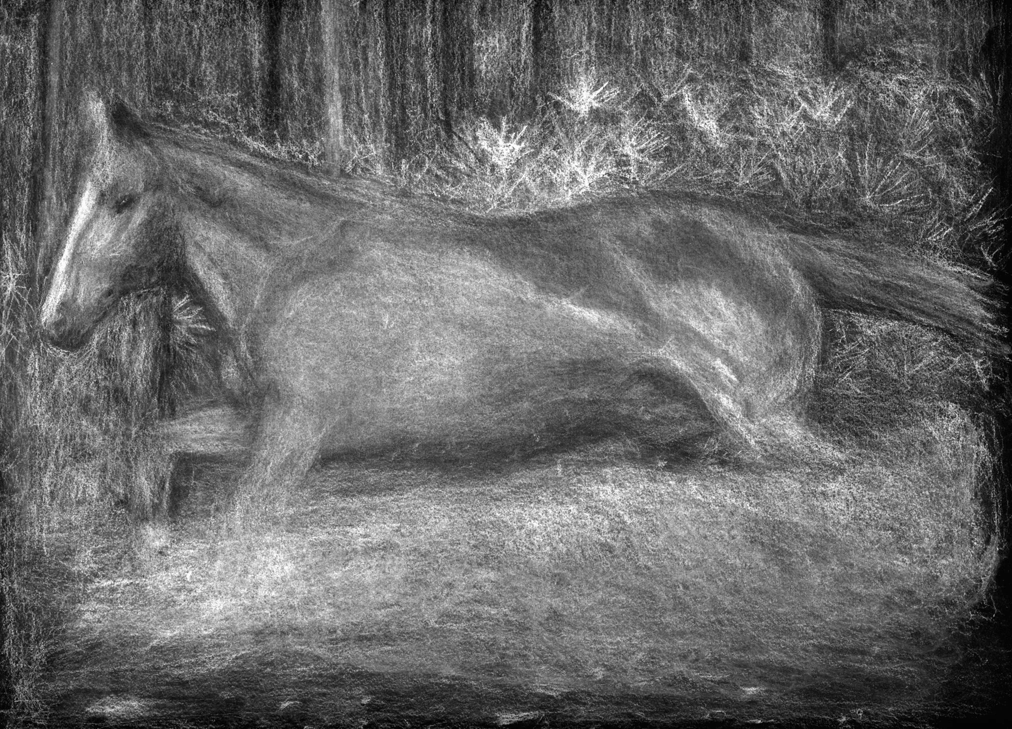 A grayscale chalk drawing of a horse standing sideways on a textured background.