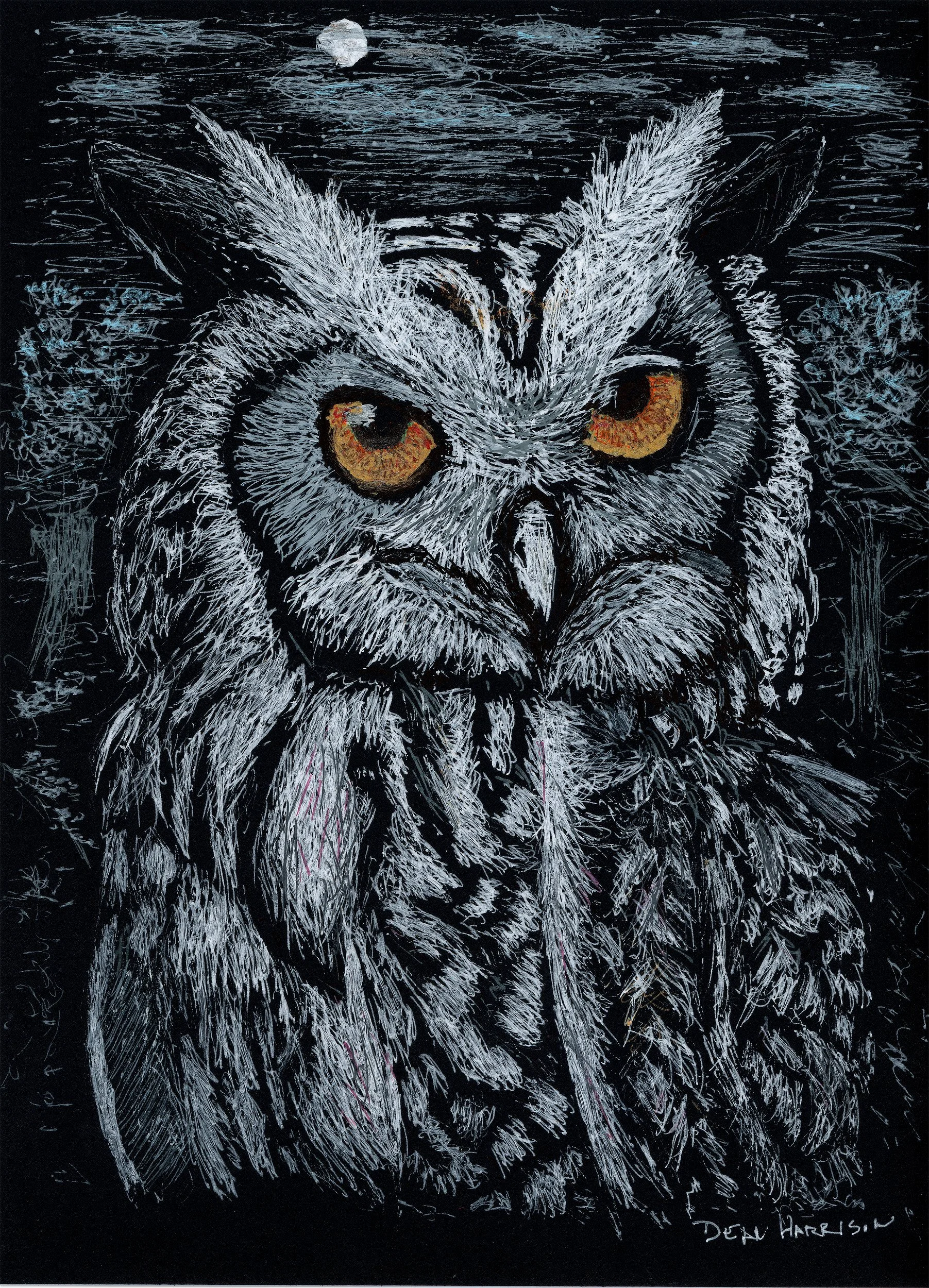 Orange Eyed Owl Ink Pen- 25JPG.jpg
