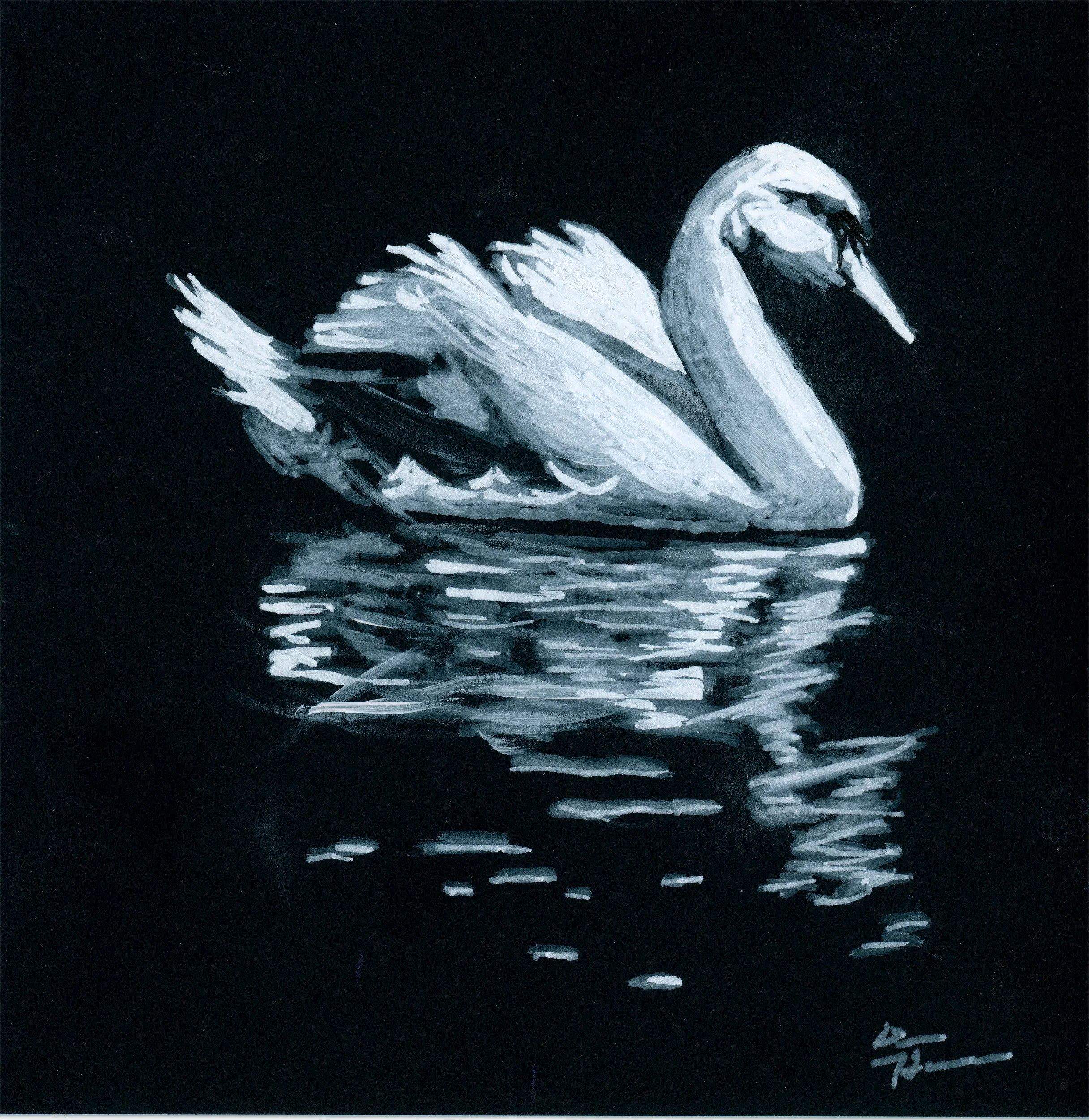 swanbw (2)JPG.jpg