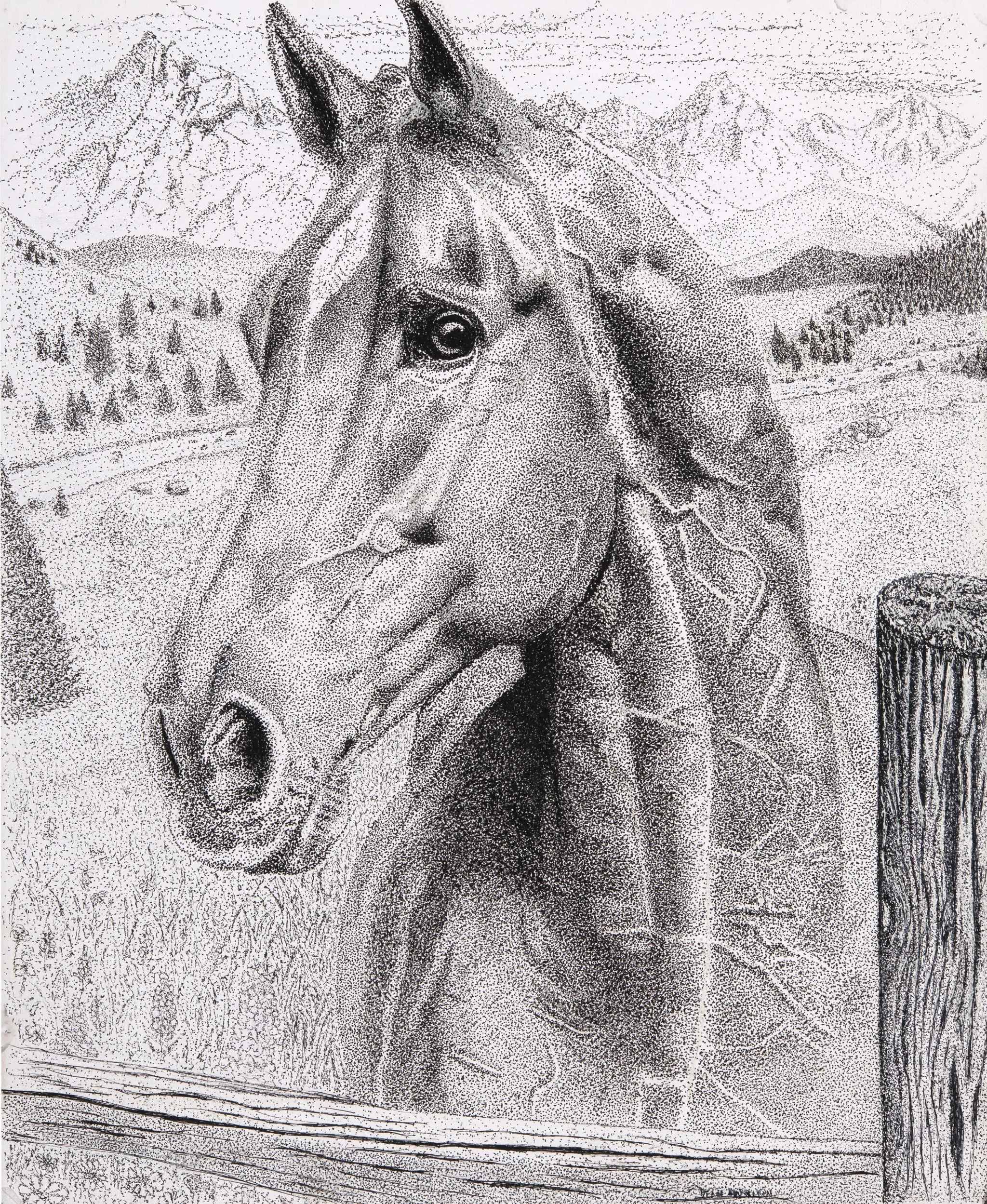 A detailed black and white drawing of a horse with mountains in the background and a fence post in the foreground.