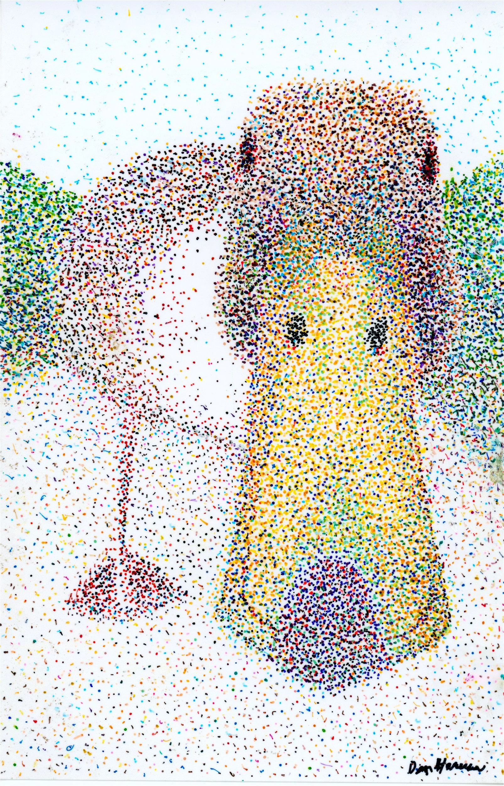 dotcloseduckcolorJPG.jpg