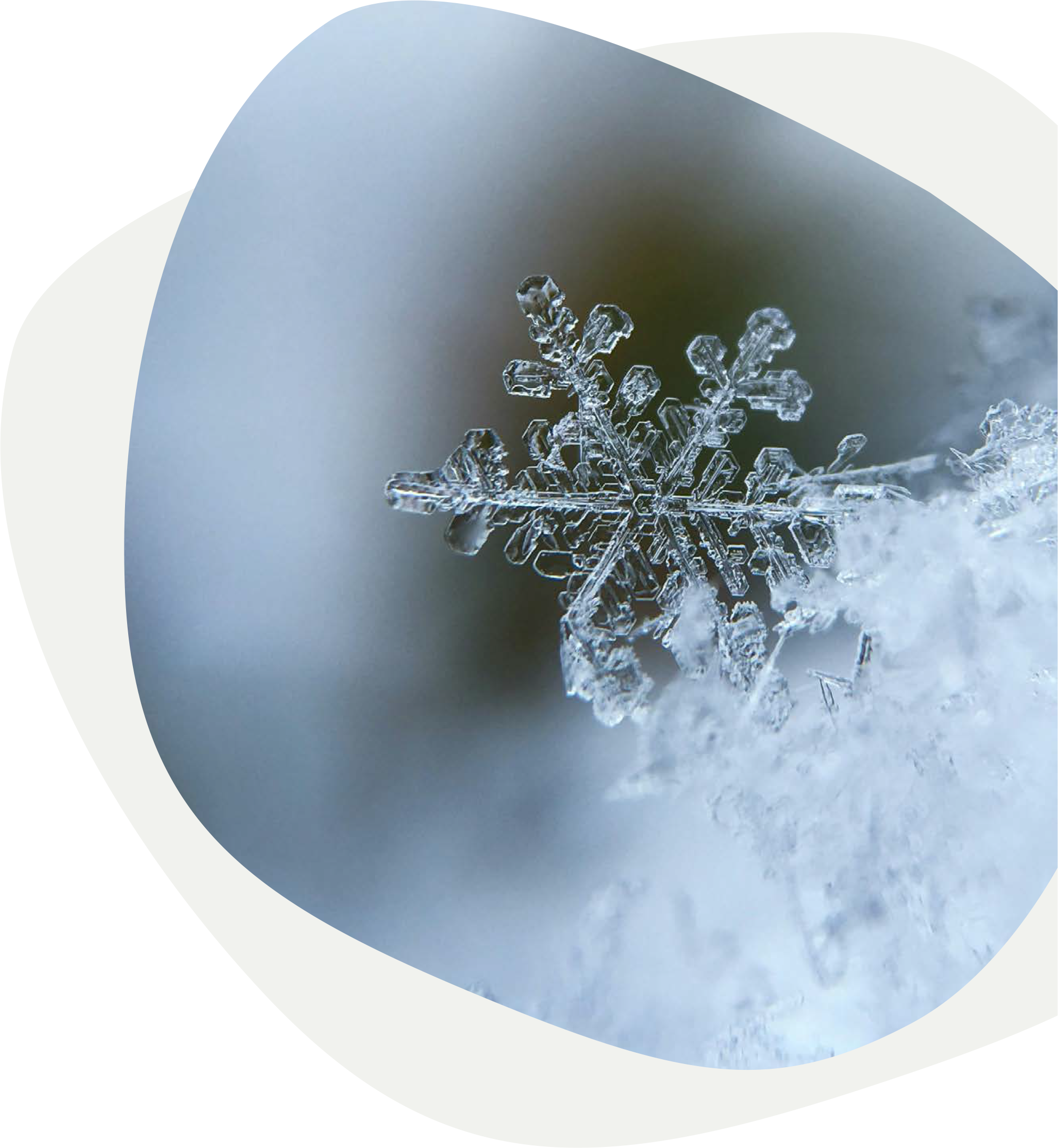 Close-up of a detailed snowflake resting on snow.