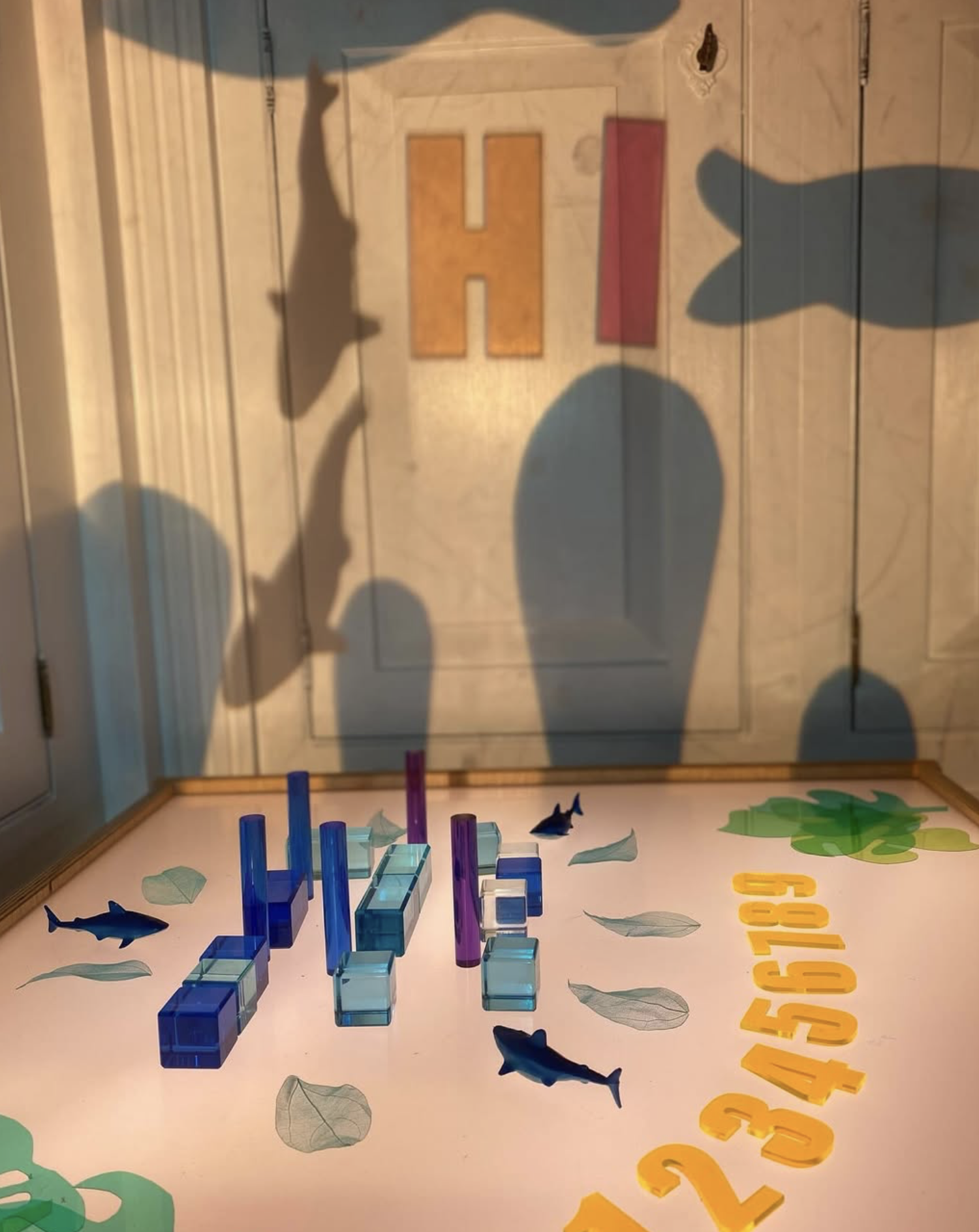 Shadow of a whale, an eagle, a whale tail, and a bird on a door behind a display of colorful building blocks, paper leaves, and numbers on a table.
