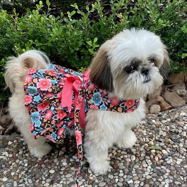 blooming garden 4.webp