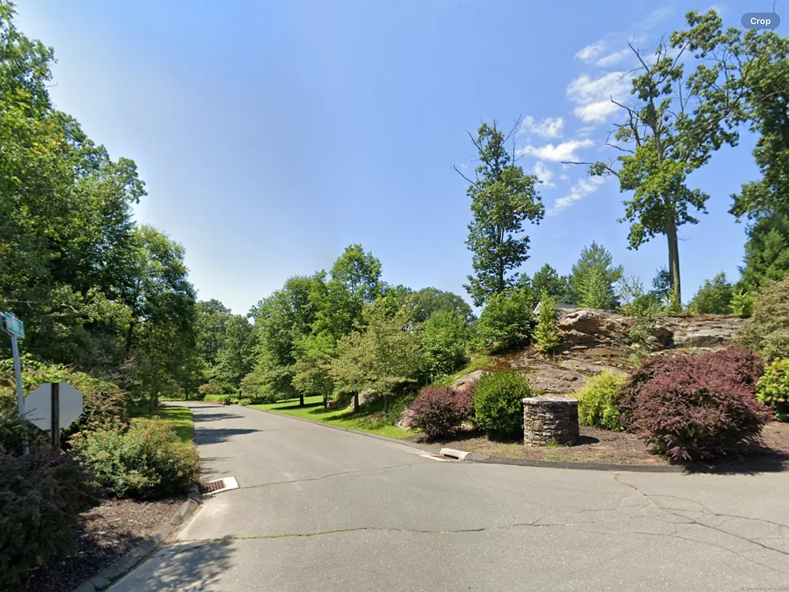 A residential street lined with trees and shrubs under a bright blue sky with some clouds.