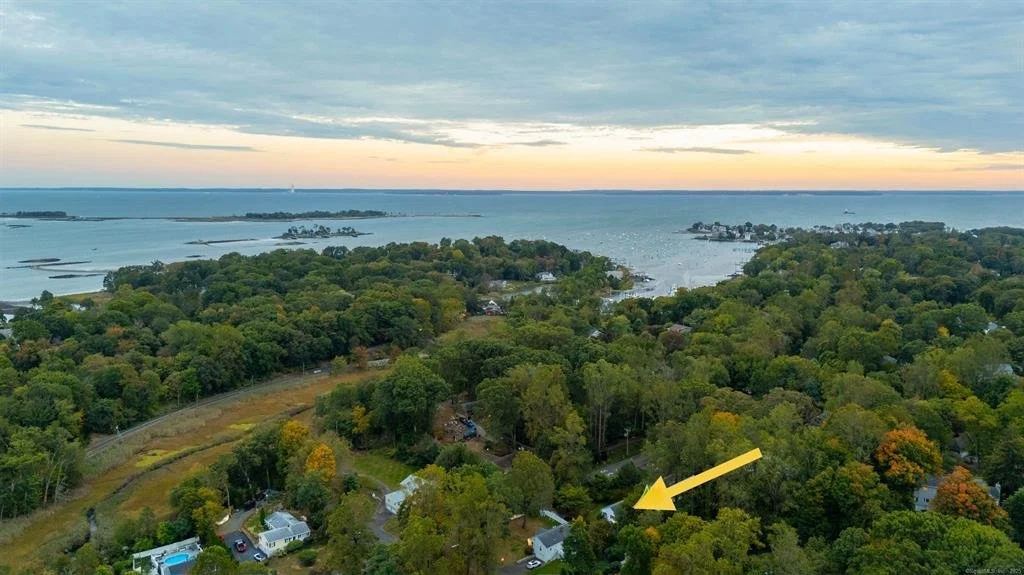 Aerial view of a lakeside suburban area with dense trees, houses, and a body of water in the background during sunset.