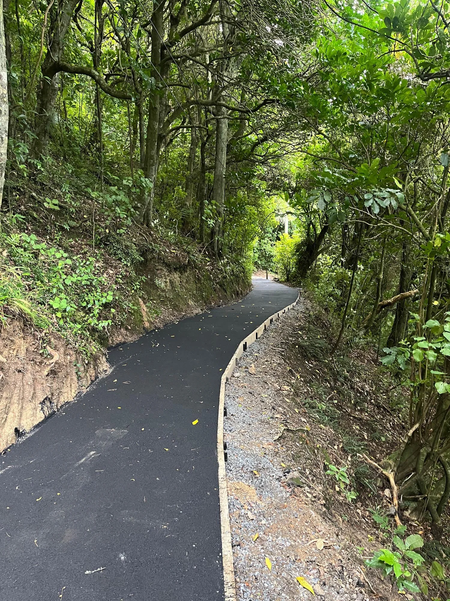 Asphalt and Concrete Wellington 25.jpg