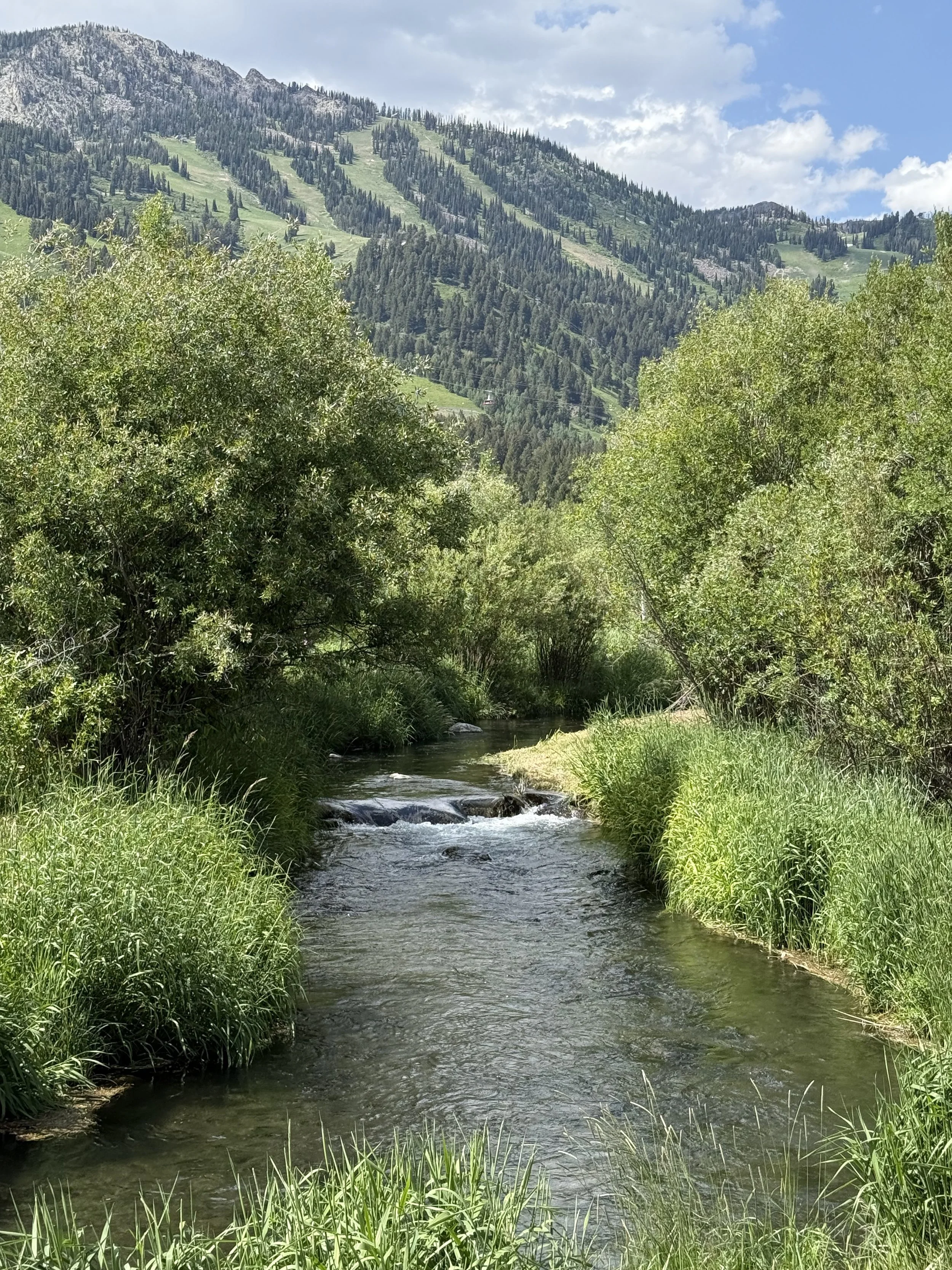 5. Fish Creek Lot 39.jpg