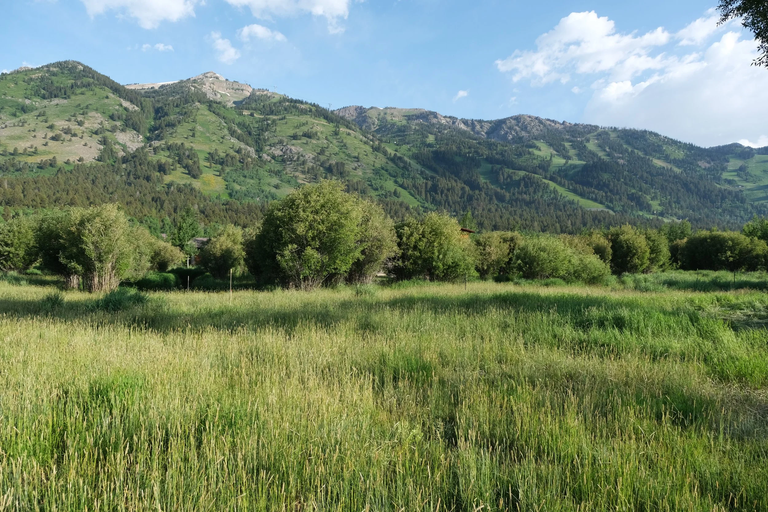 1. Lot 38 from Building Envelope.jpg