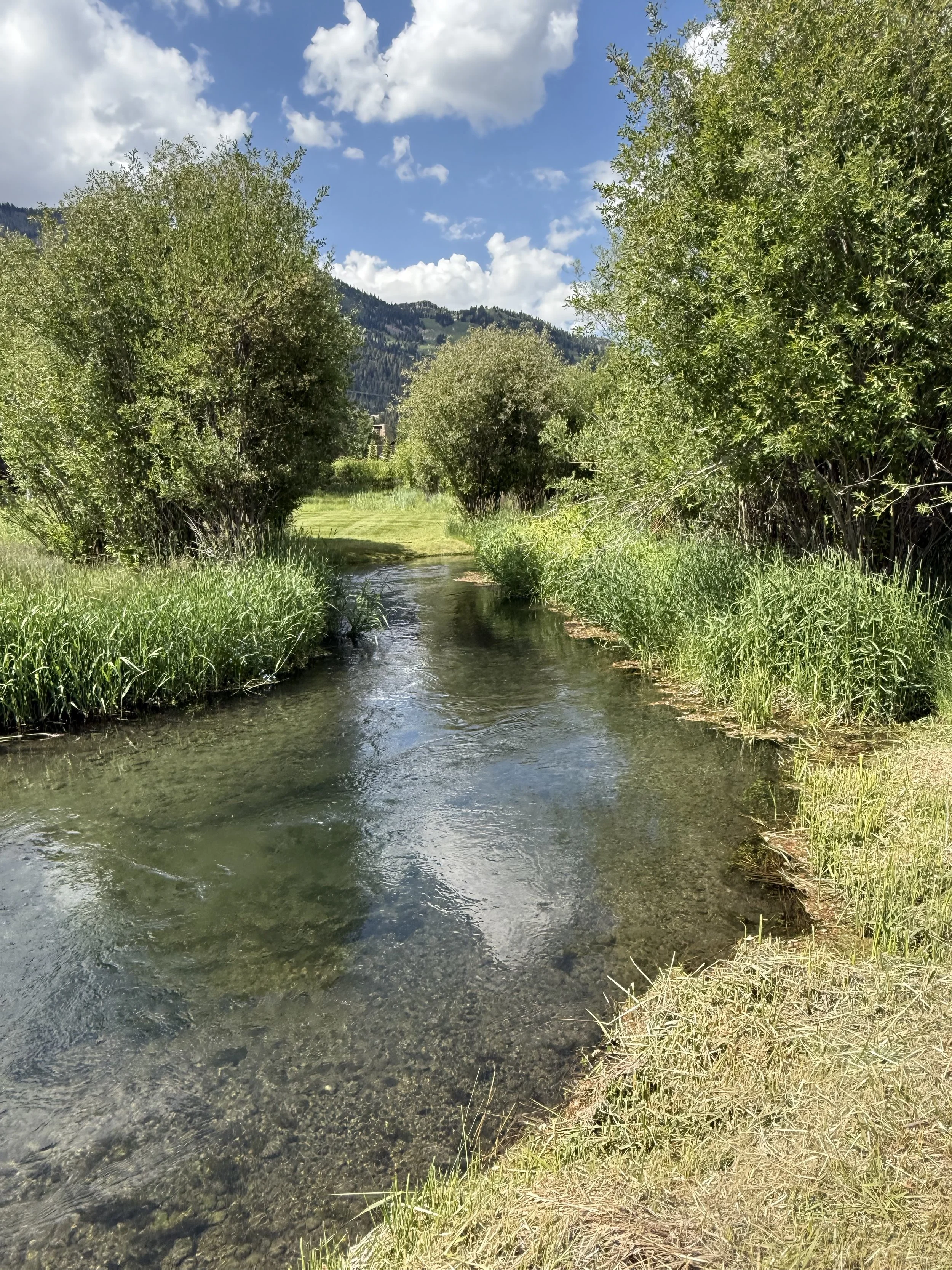3.Fish Creek on Lot 38 (1).jpg