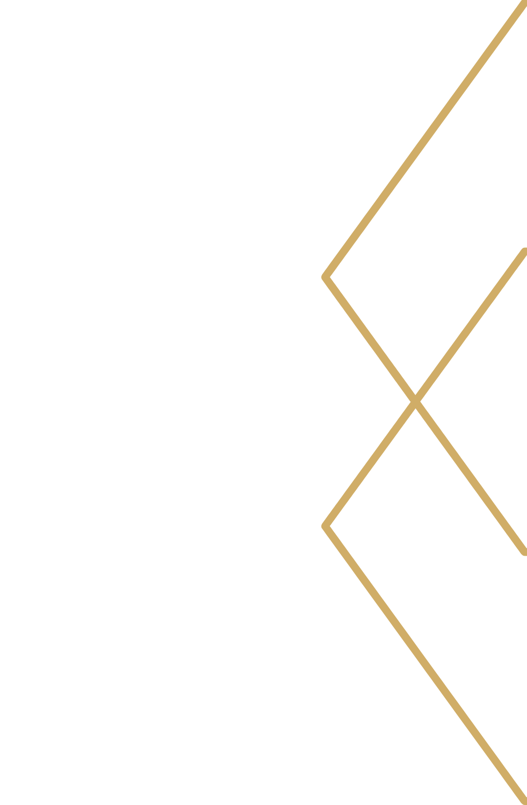 A diagram showing a branching decision tree with various options and outcomes, connected by lines.