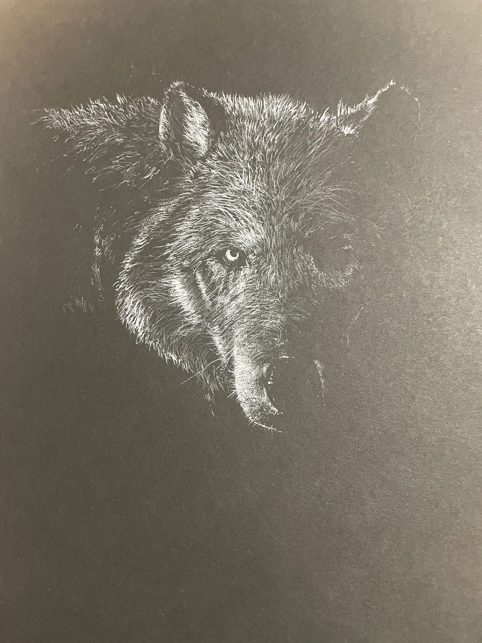 Black and white drawing of a wolf's face, showing detailed fur and intense eyes against a dark background.