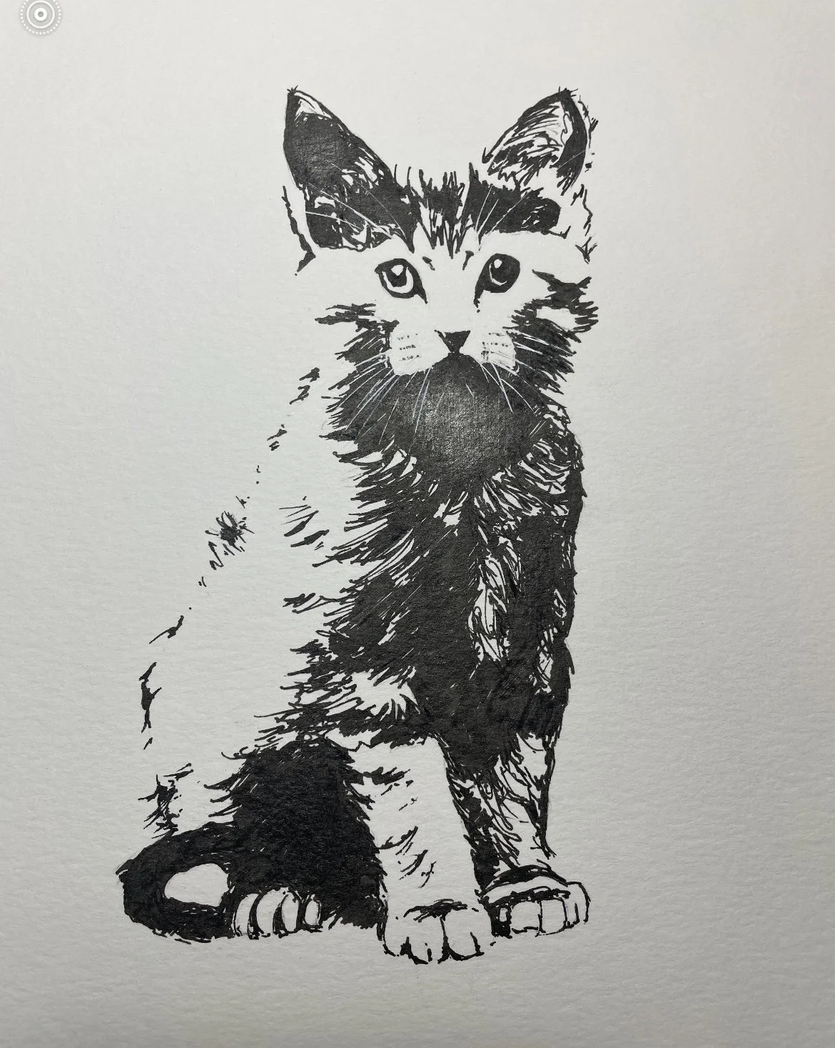 Black and white ink drawing of a sitting kitten with detailed fur and markings, facing forward.