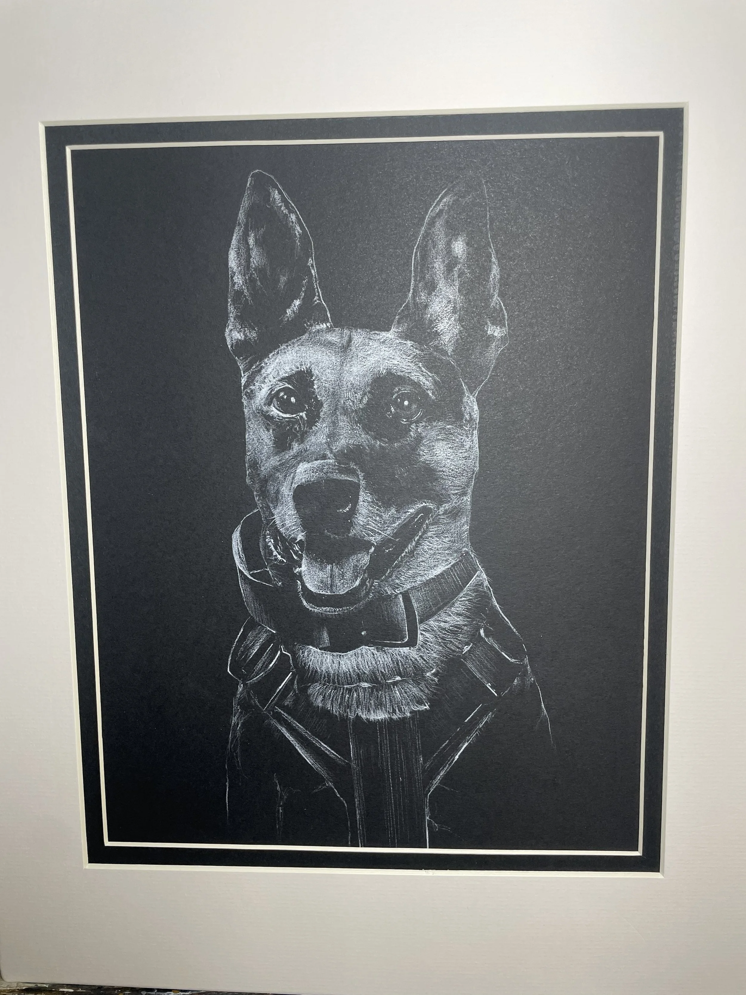 Chalkboard-style drawing of a happy dog with pointed ears wearing a collar and harness.