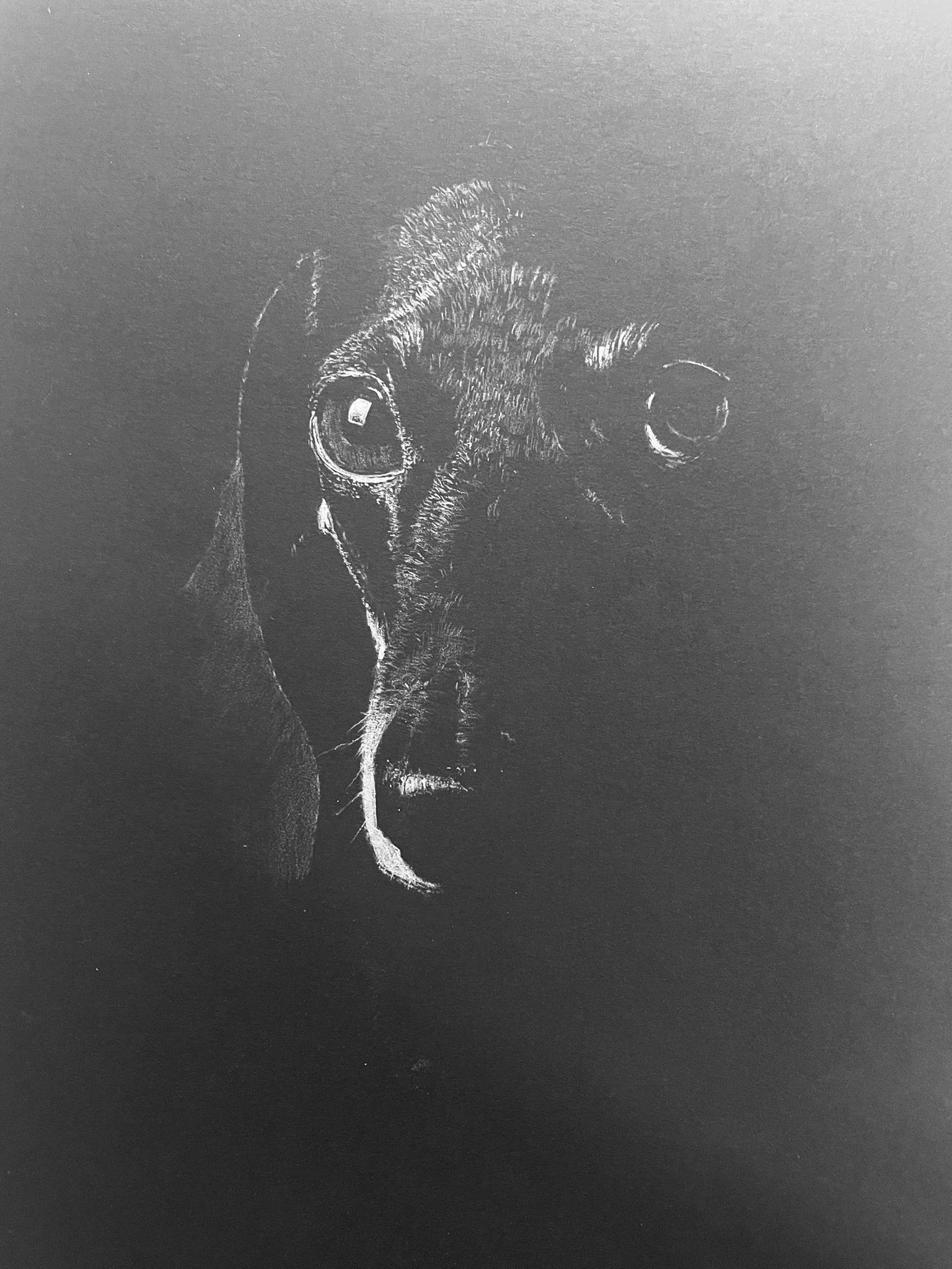 A black-and-white drawing of a cat's face, with large, expressive eyes, on a dark background.