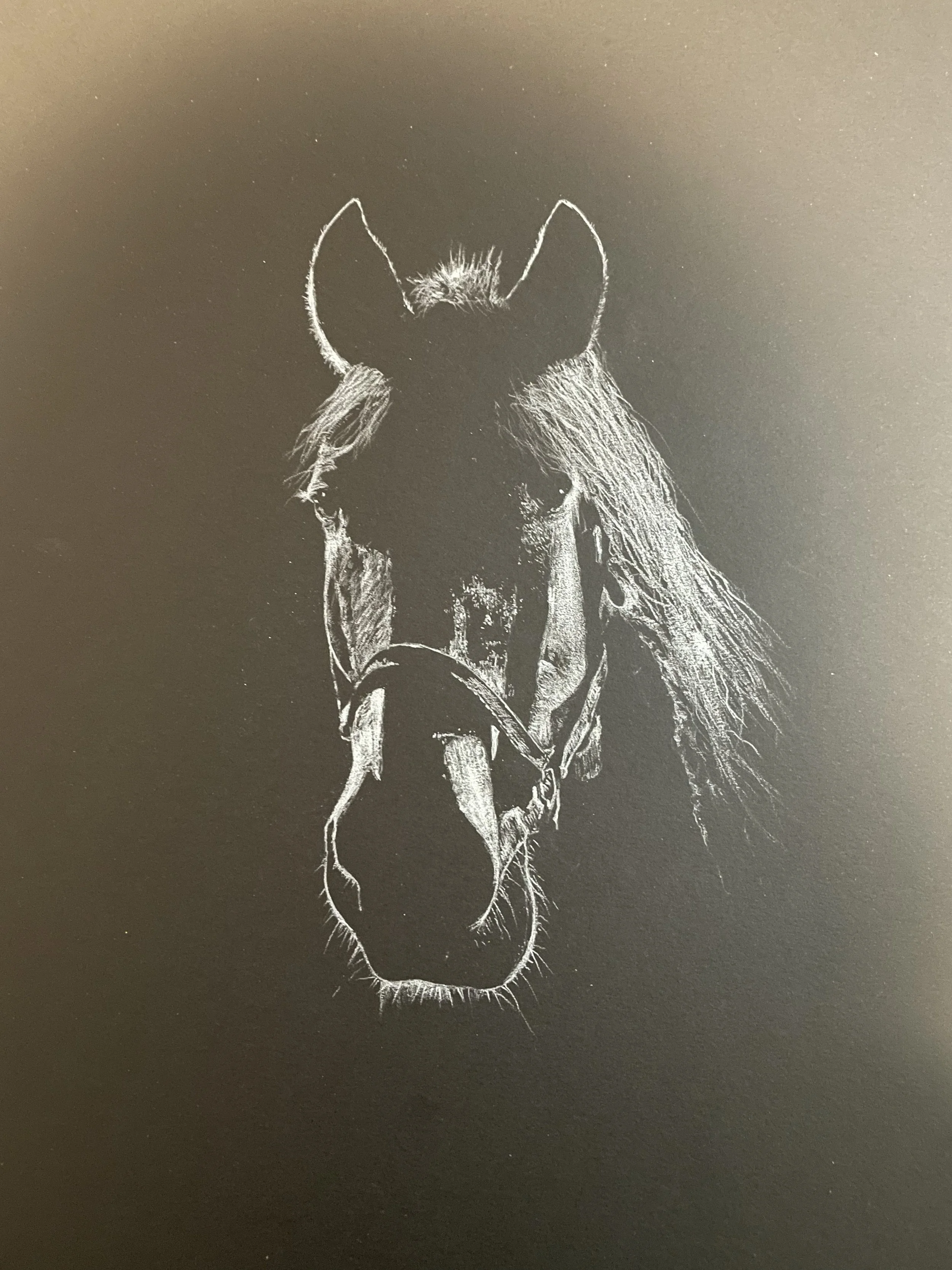 Black and white chalk drawing of a horse's head with a bridle, facing forward, on black background.