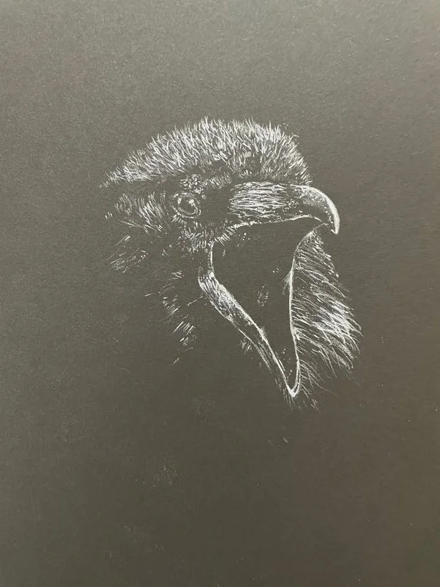 Sketch of an eagle's head with its beak open on a black background.