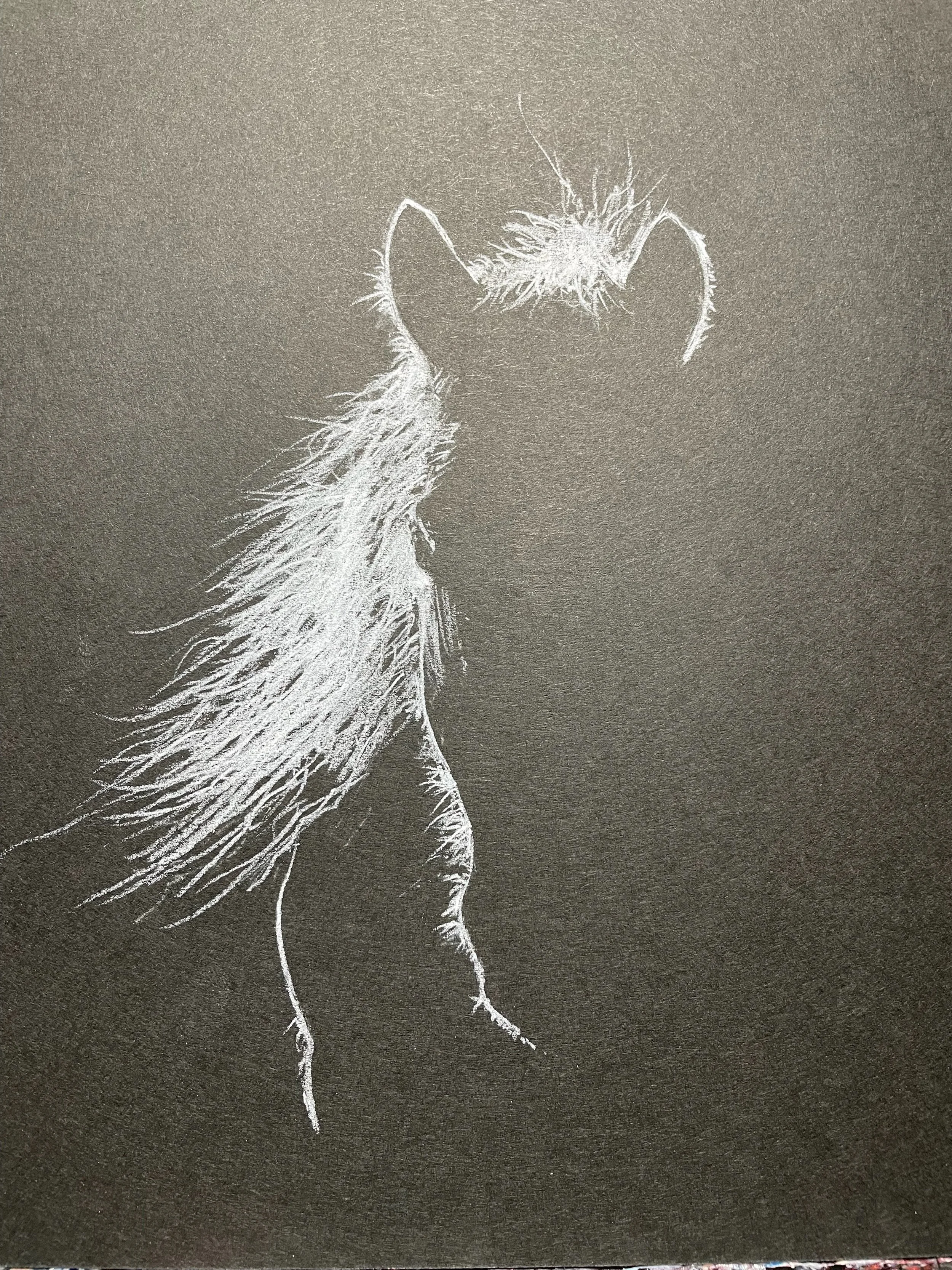 A white chalk sketch of a cat on a black surface, showing the back of the cat with its head slightly turned and tail curled.