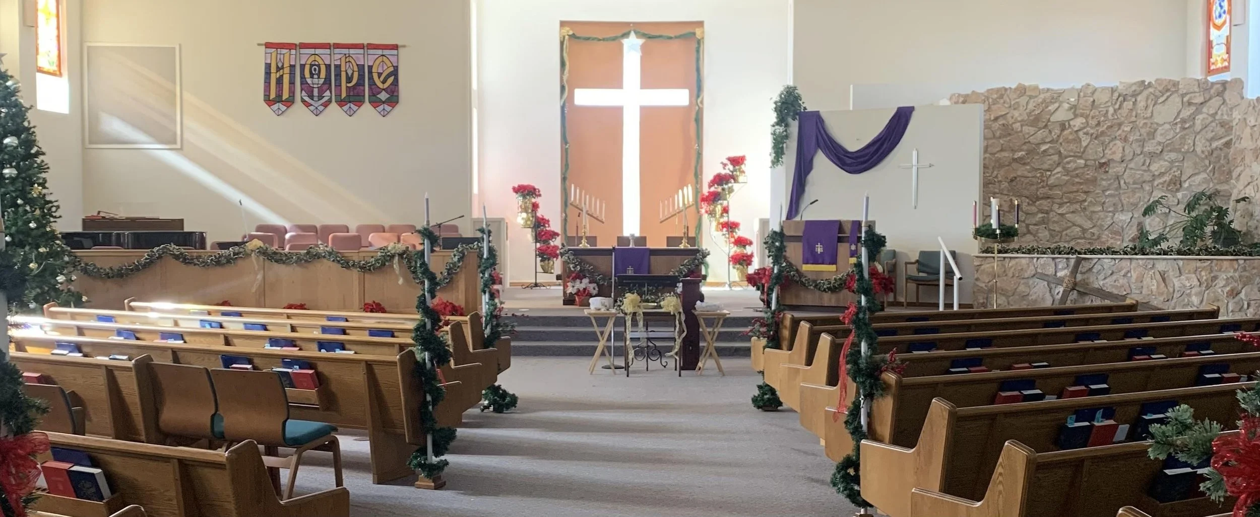 Inside a church decorated for Christmas with a large cross illuminated by sunlight at the altar. Christmas trees, poinsettias, and garlands adorn the space, with purple and gold altar cloths and candles present.